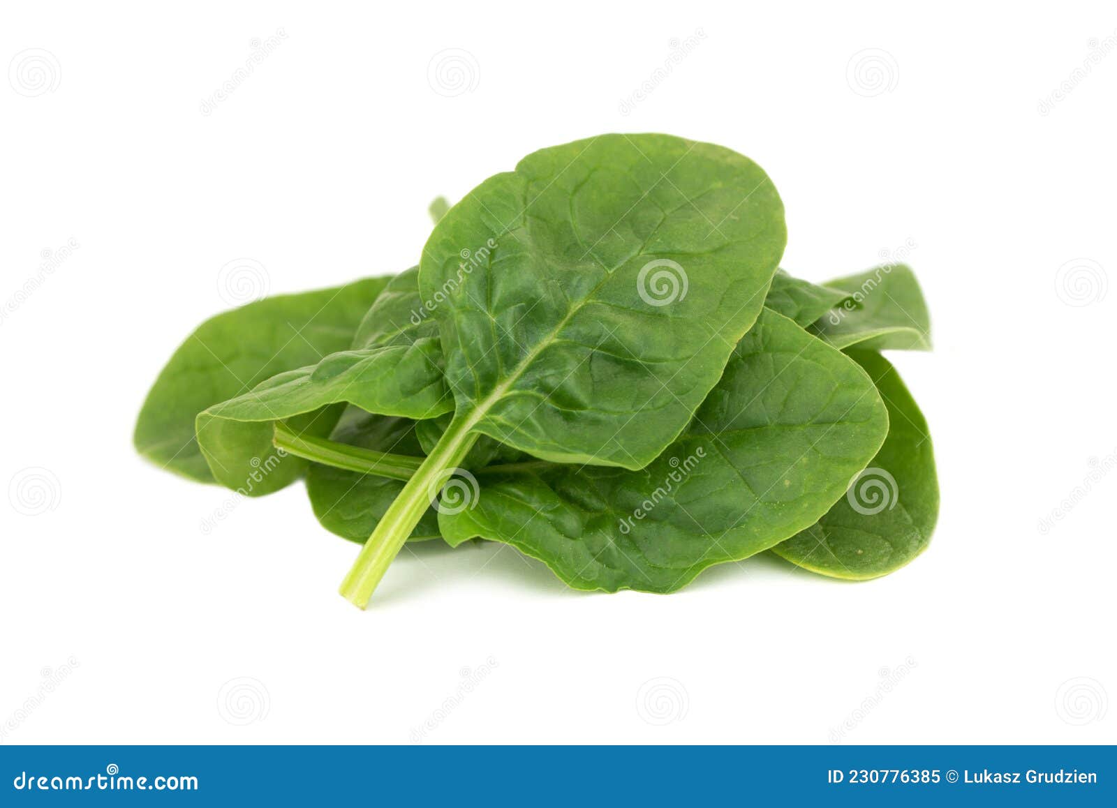 Spinach leaves stock image. Image of healthy, green 230776385