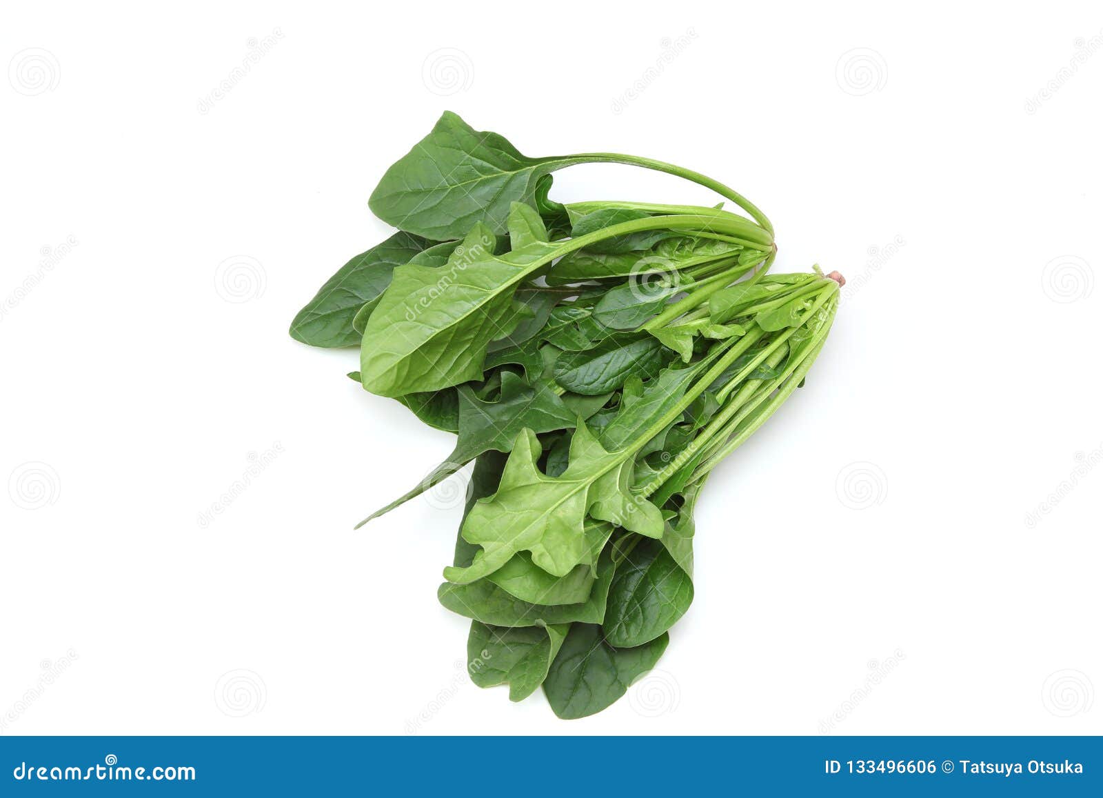 Spinach in a White Background Stock Photo Image of spinach, greens
