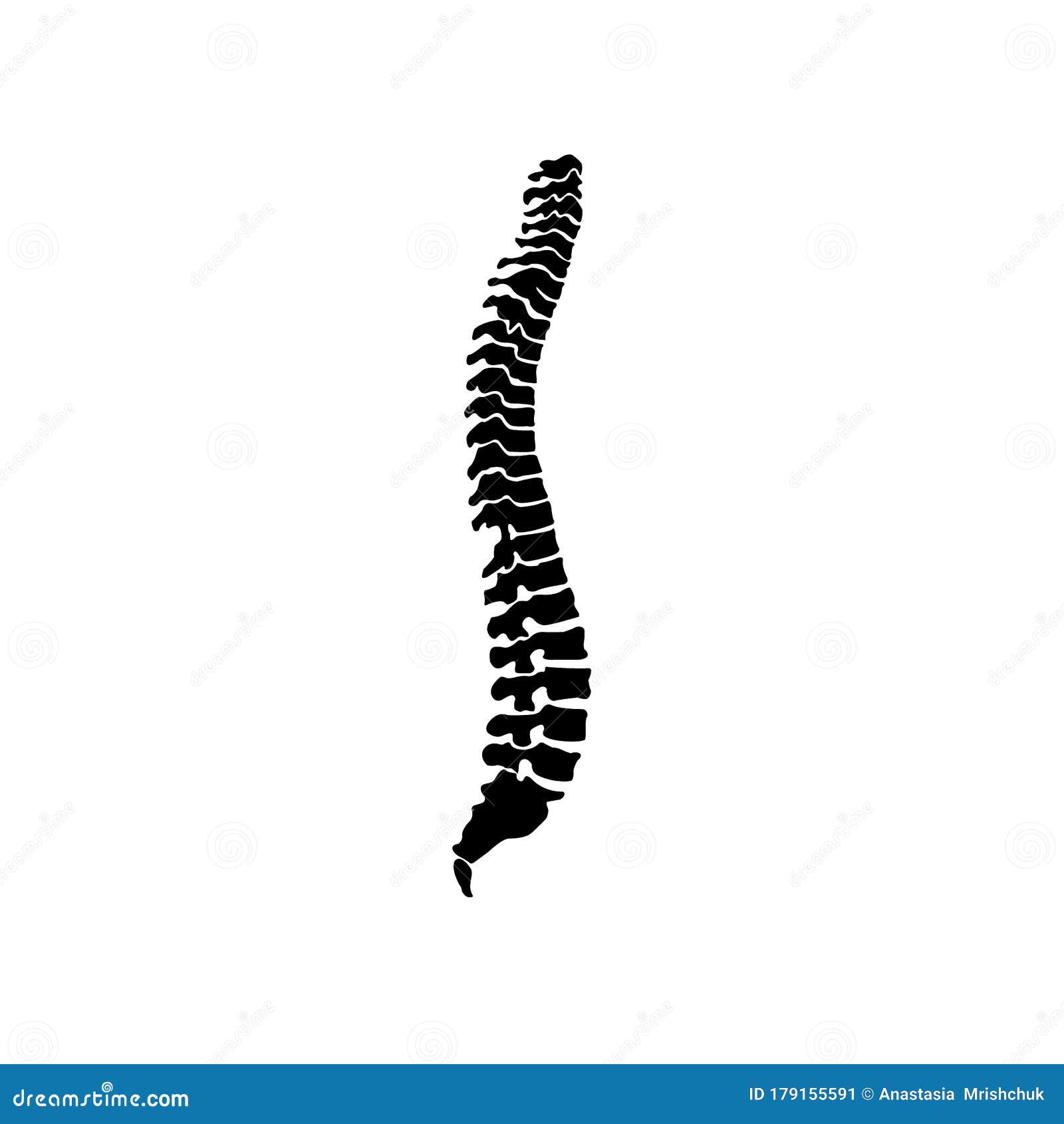 spine icon silhouette  on white background