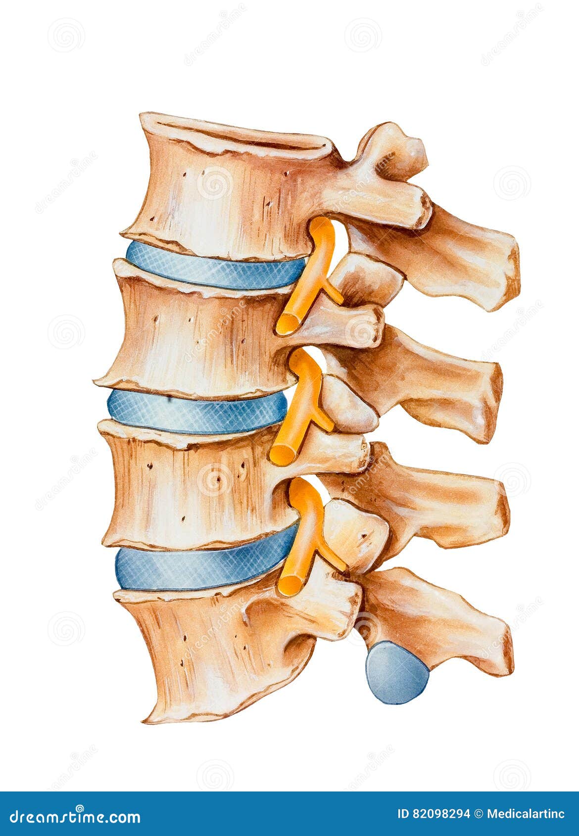 spine - nerve irritation