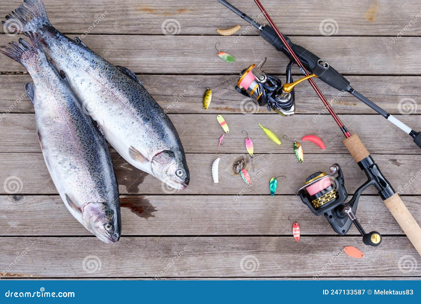 Spinning Rods with Reels, Caught Trout and Fishing Lures Lie on a