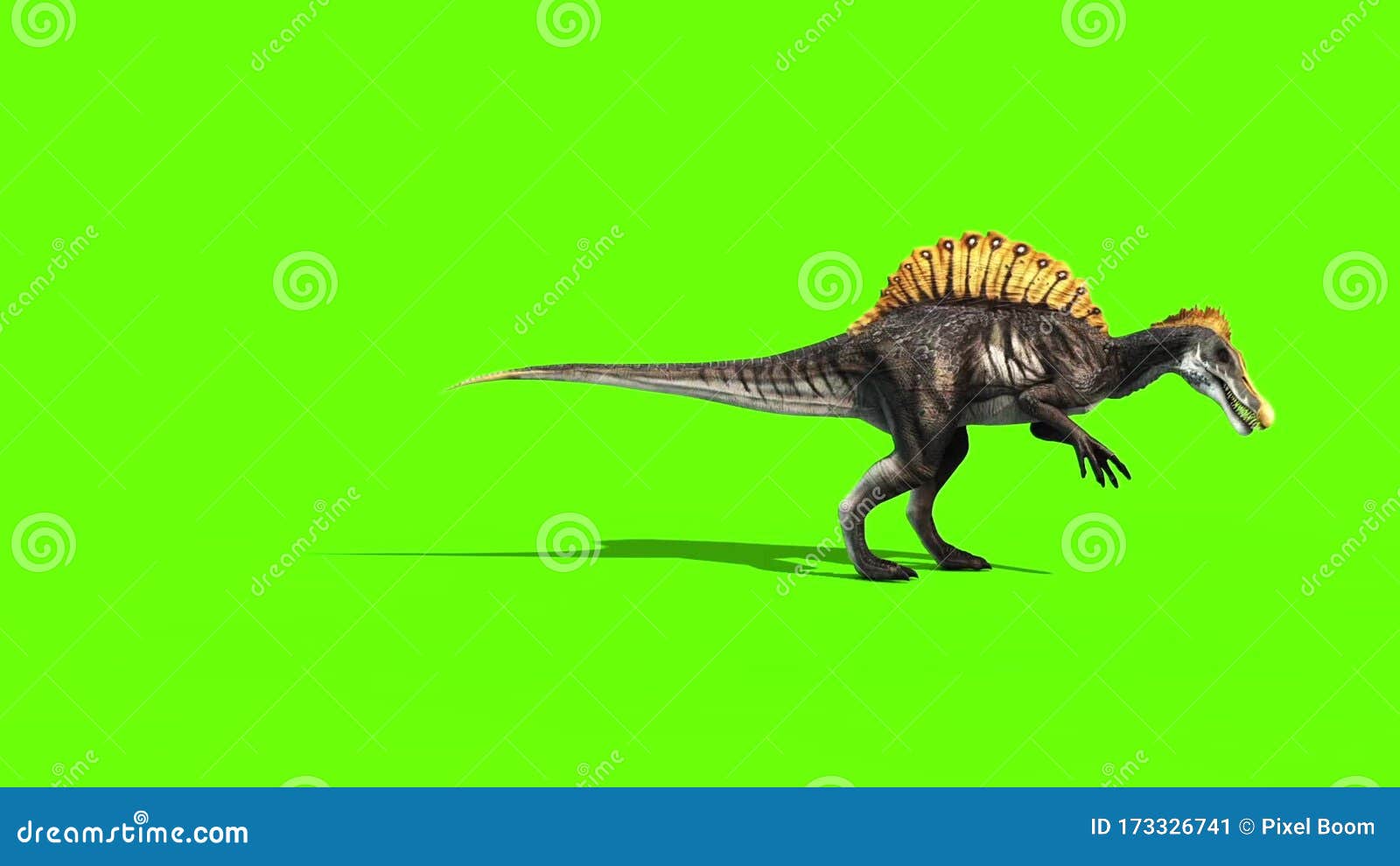 Trex Dinosaurs - 3D Animation - PixelBoom