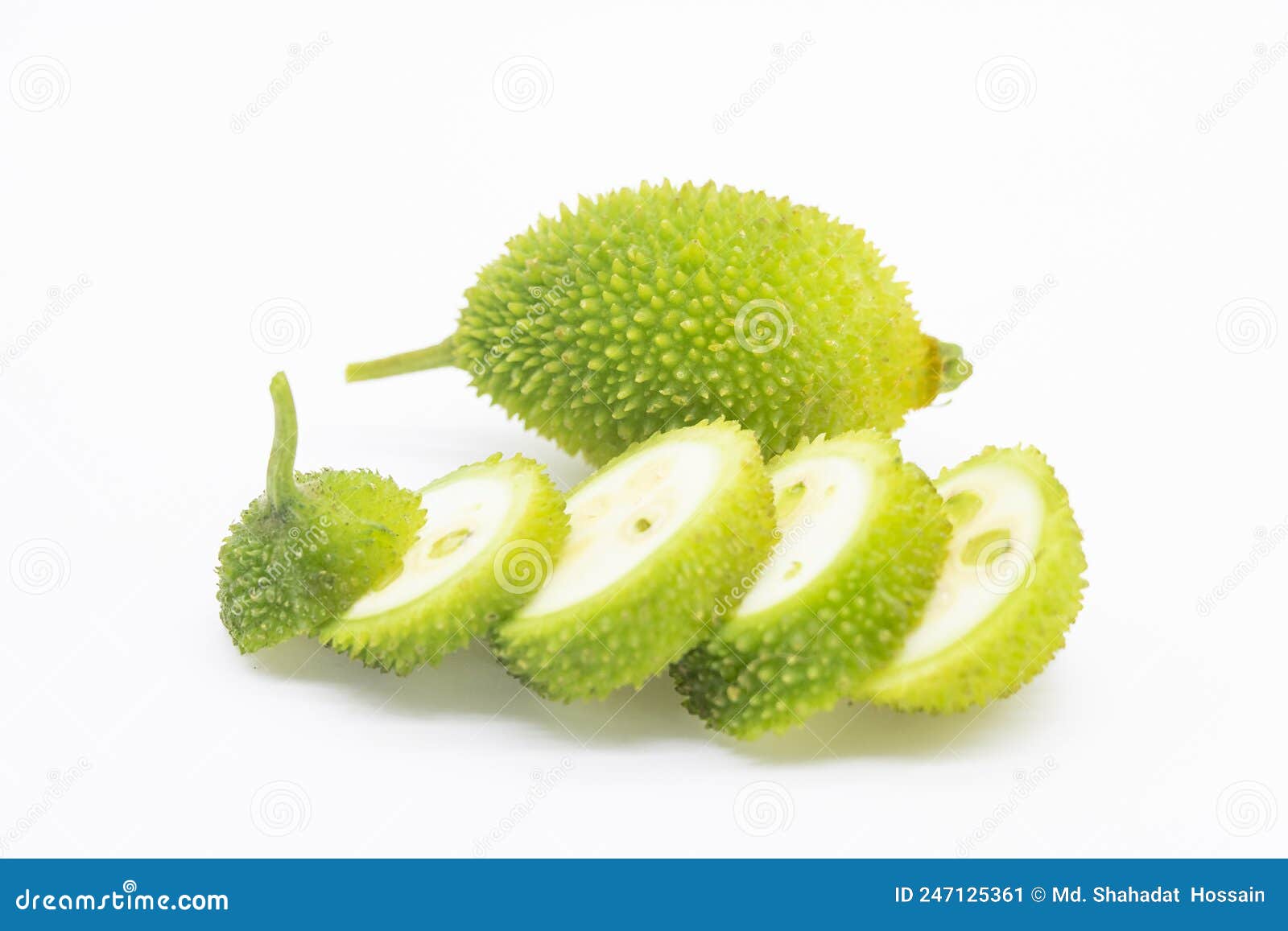 spiny gourd also known as kakrol  on white background