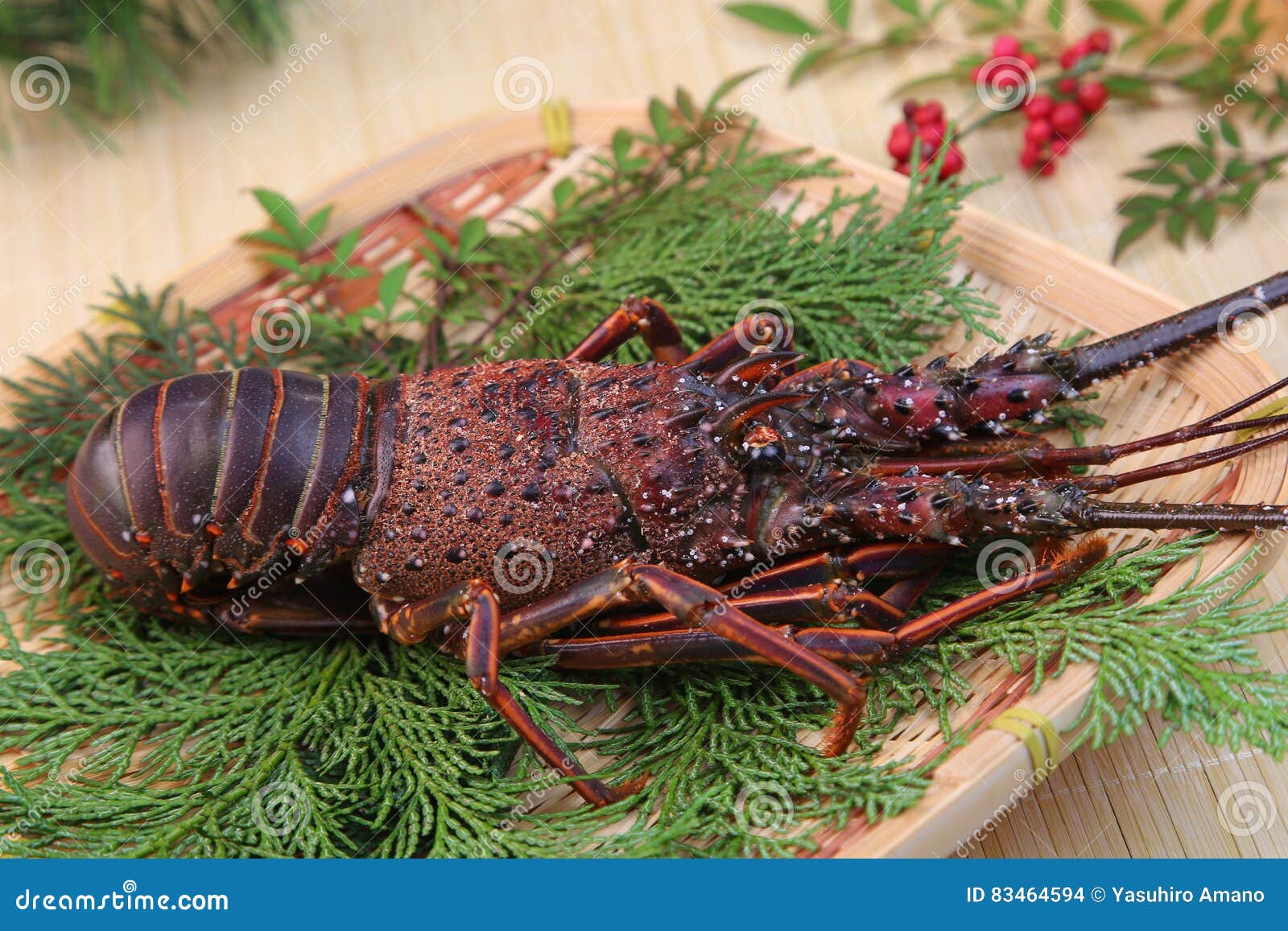Spiny lobster stock photo. Image of nature, cooking, gourmet 83464594