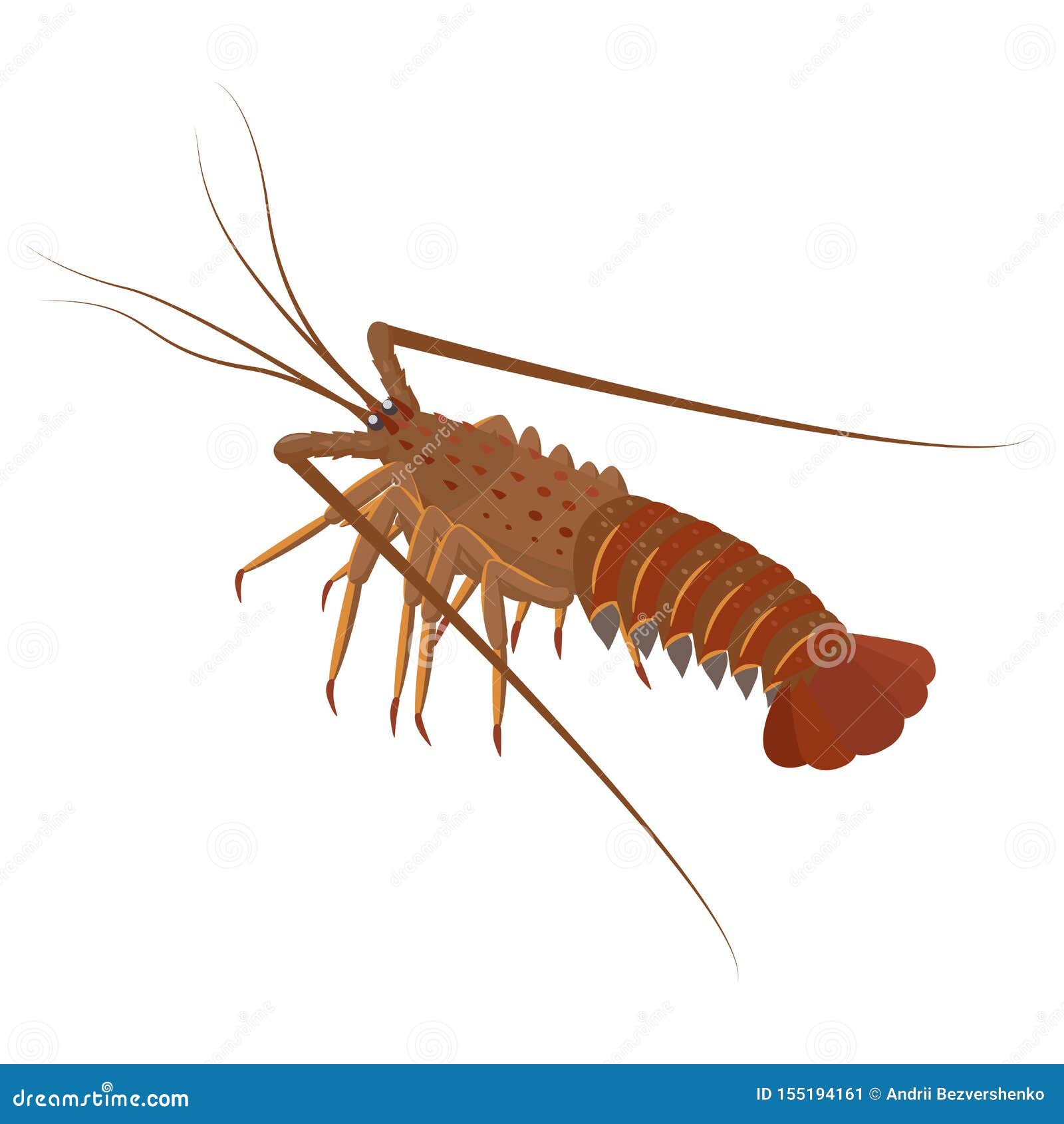 Spiny Lobster. Cartoon Vector 128068979