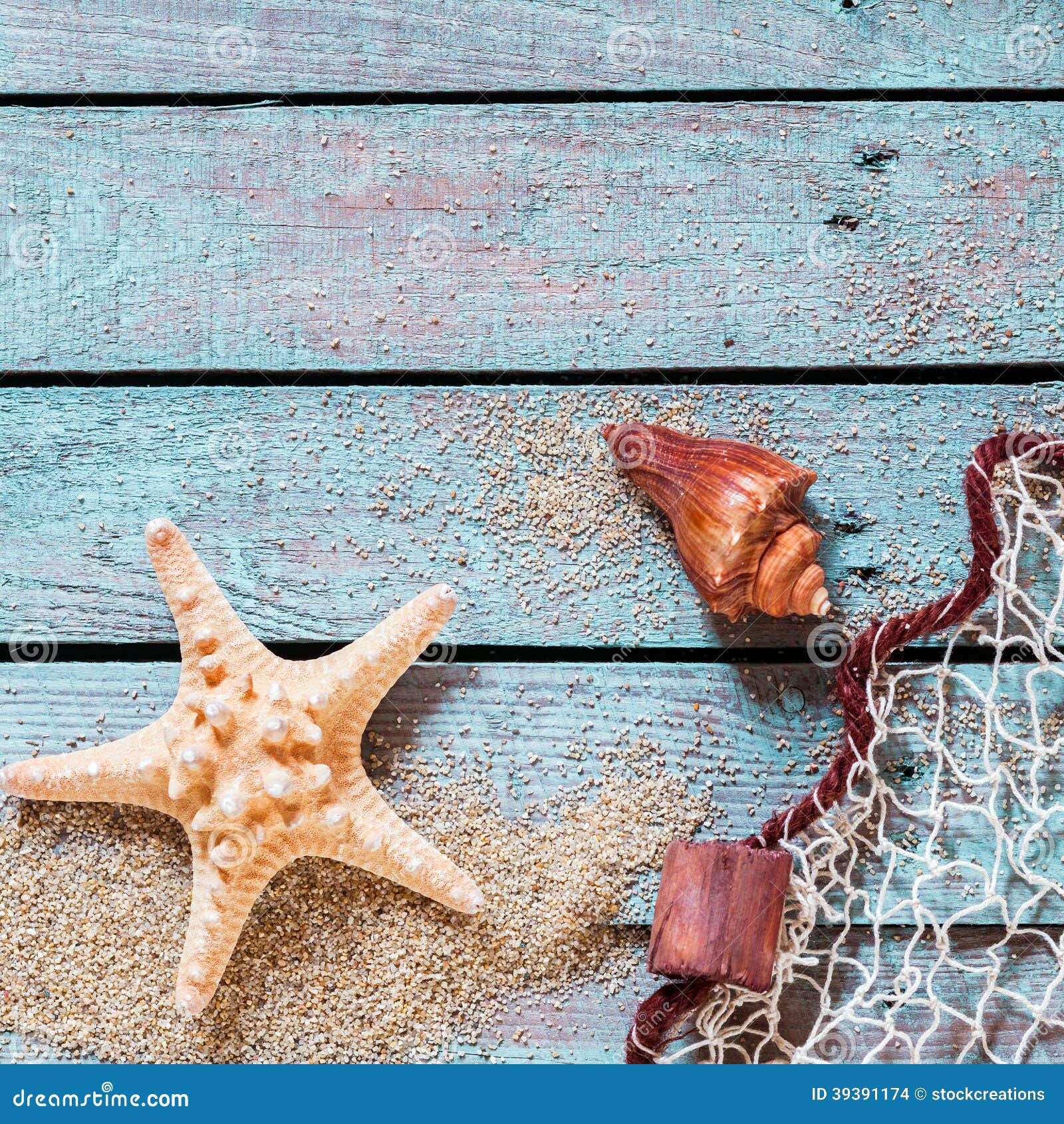 Spiny Starfish and Conch with Fishing Net Stock Photo - Image of