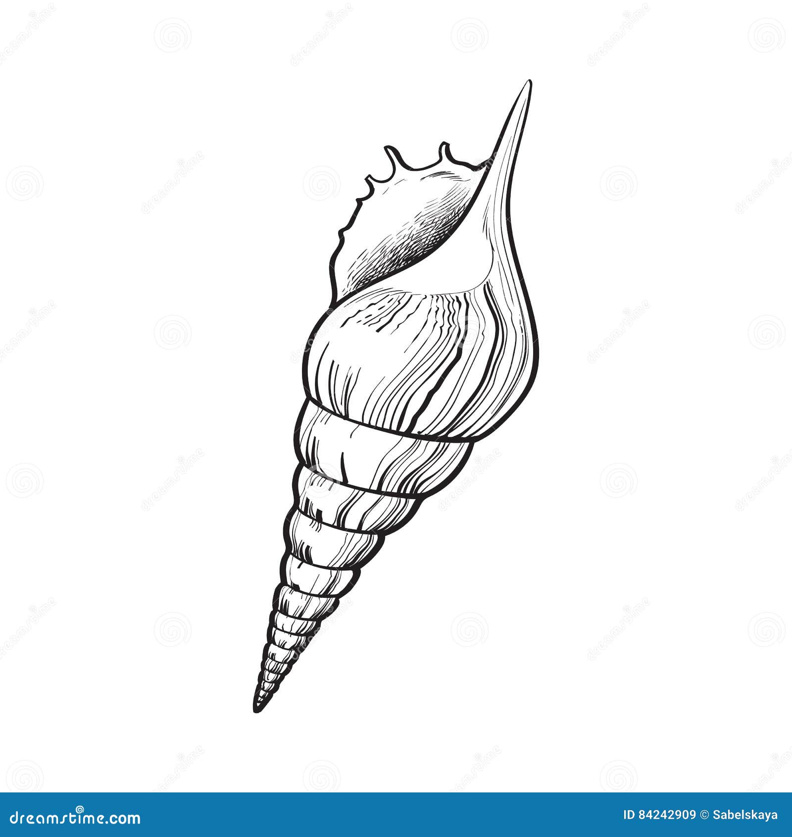 Doodle sketch style of spiral cartoon hand drawn illustration for concept  design. 14003219 Vector Art at Vecteezy