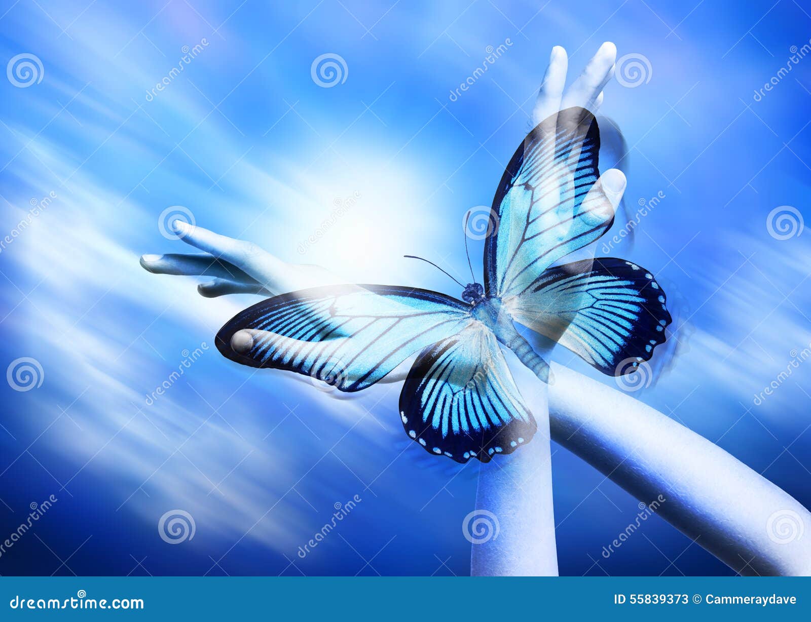 spirituality hands butterfly transformation psychology