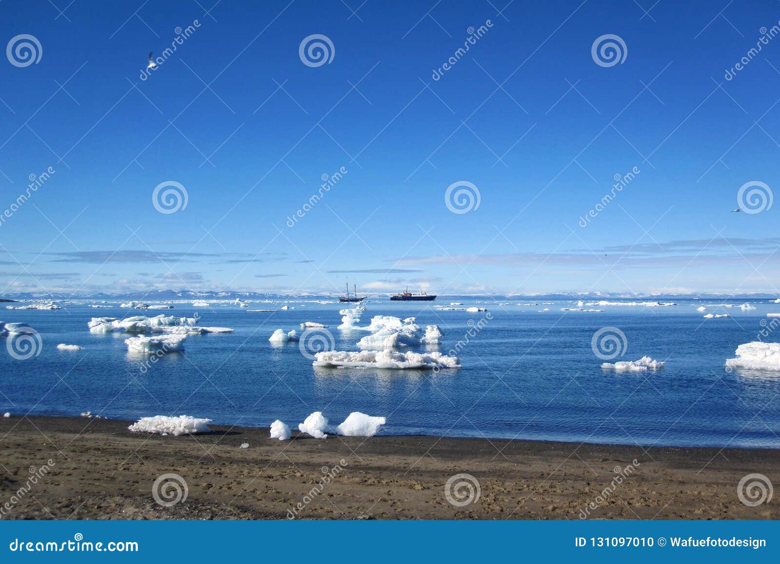 svalbard coast