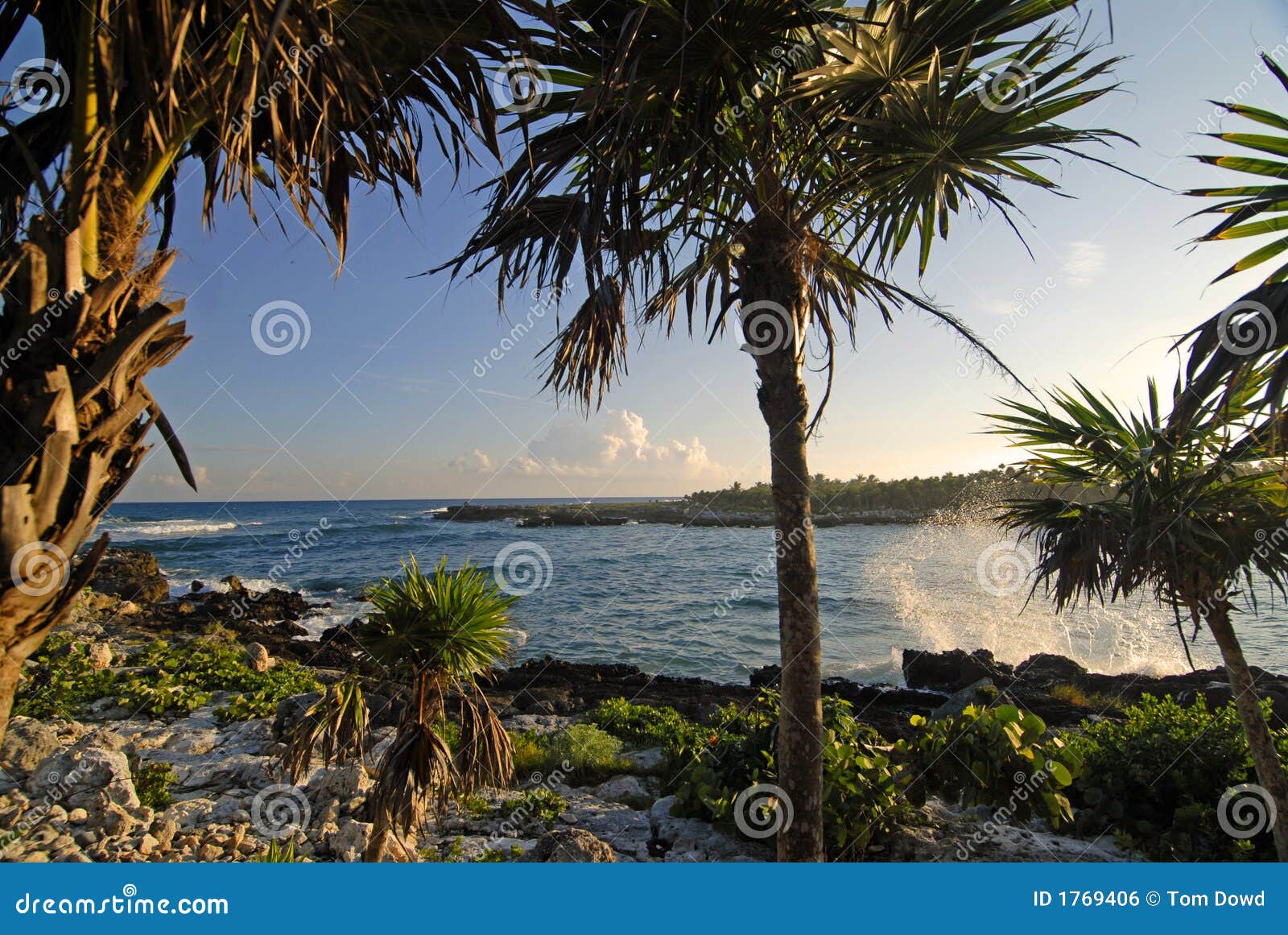 Splash Point stock photo. Image of warm, beach, breeze 1769406