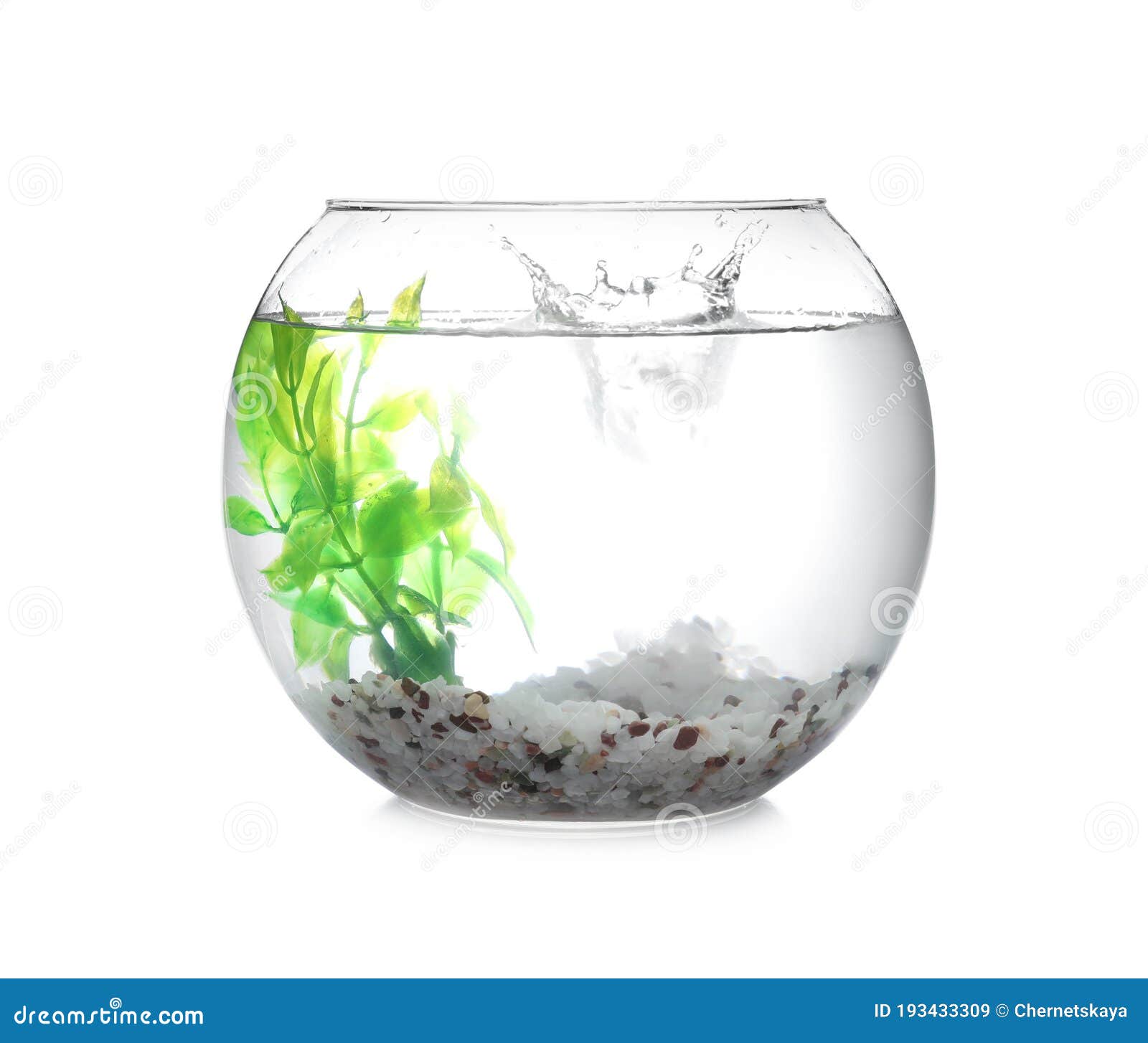 Splash of Water in Round Fish Bowl with Decorative Plant and