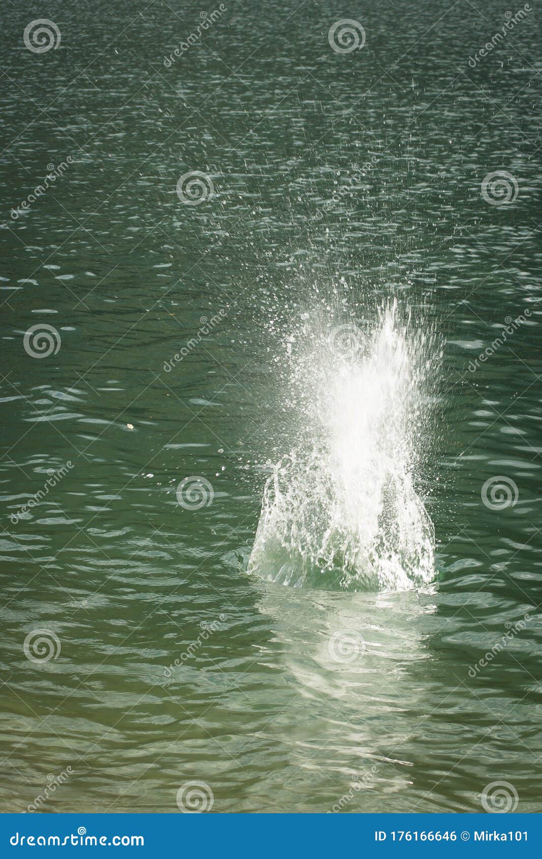 splash of water with thousands of droplets