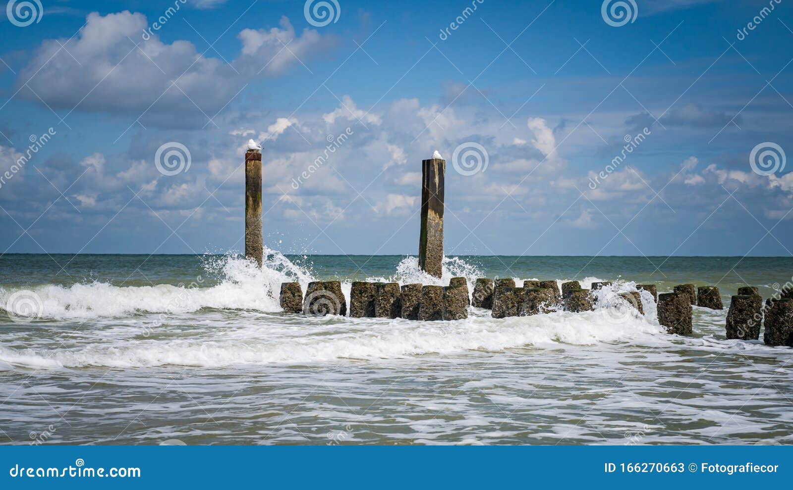 breakwaters of the palm beaches