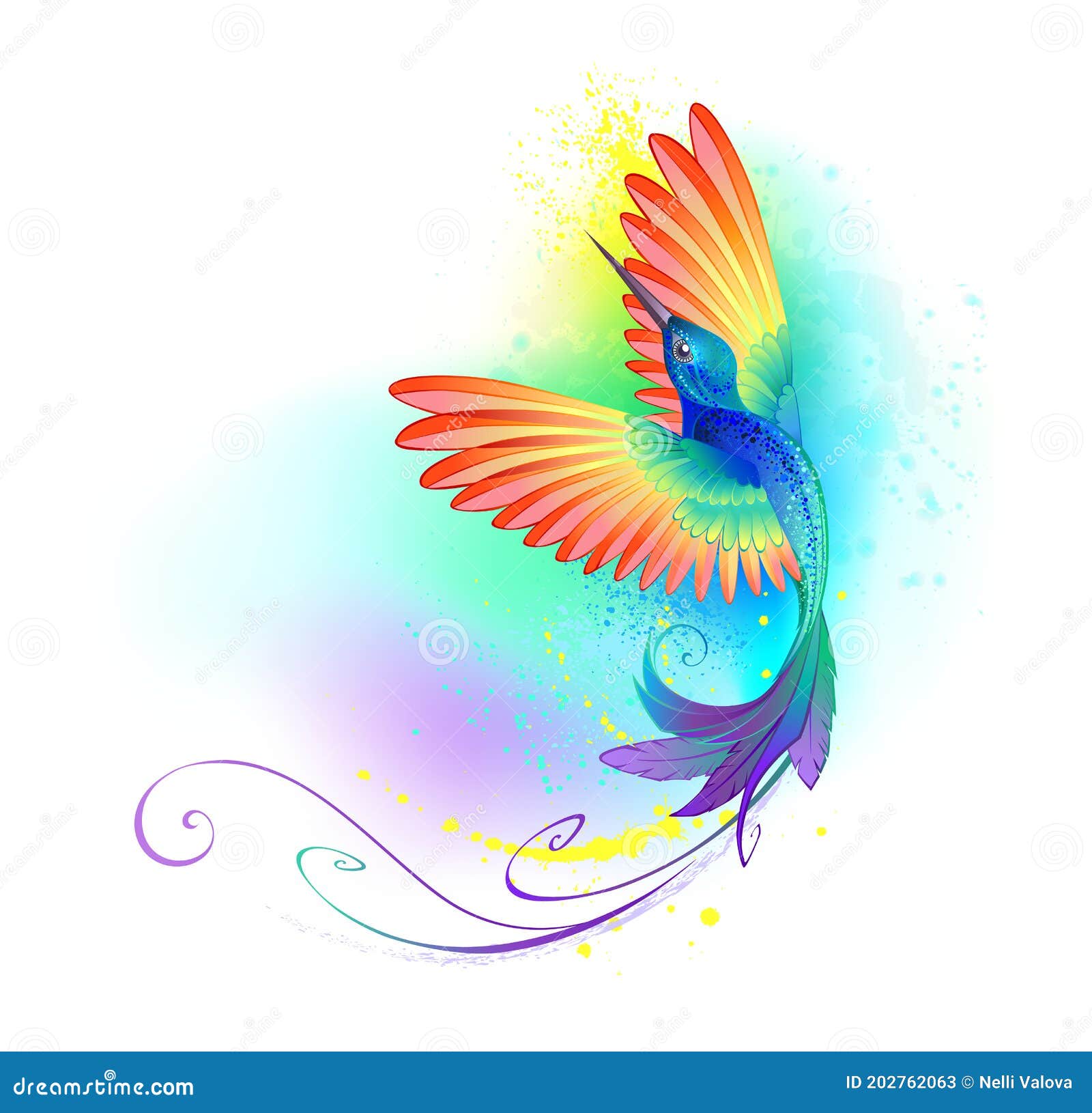 splendid rainbow hummingbird on white background