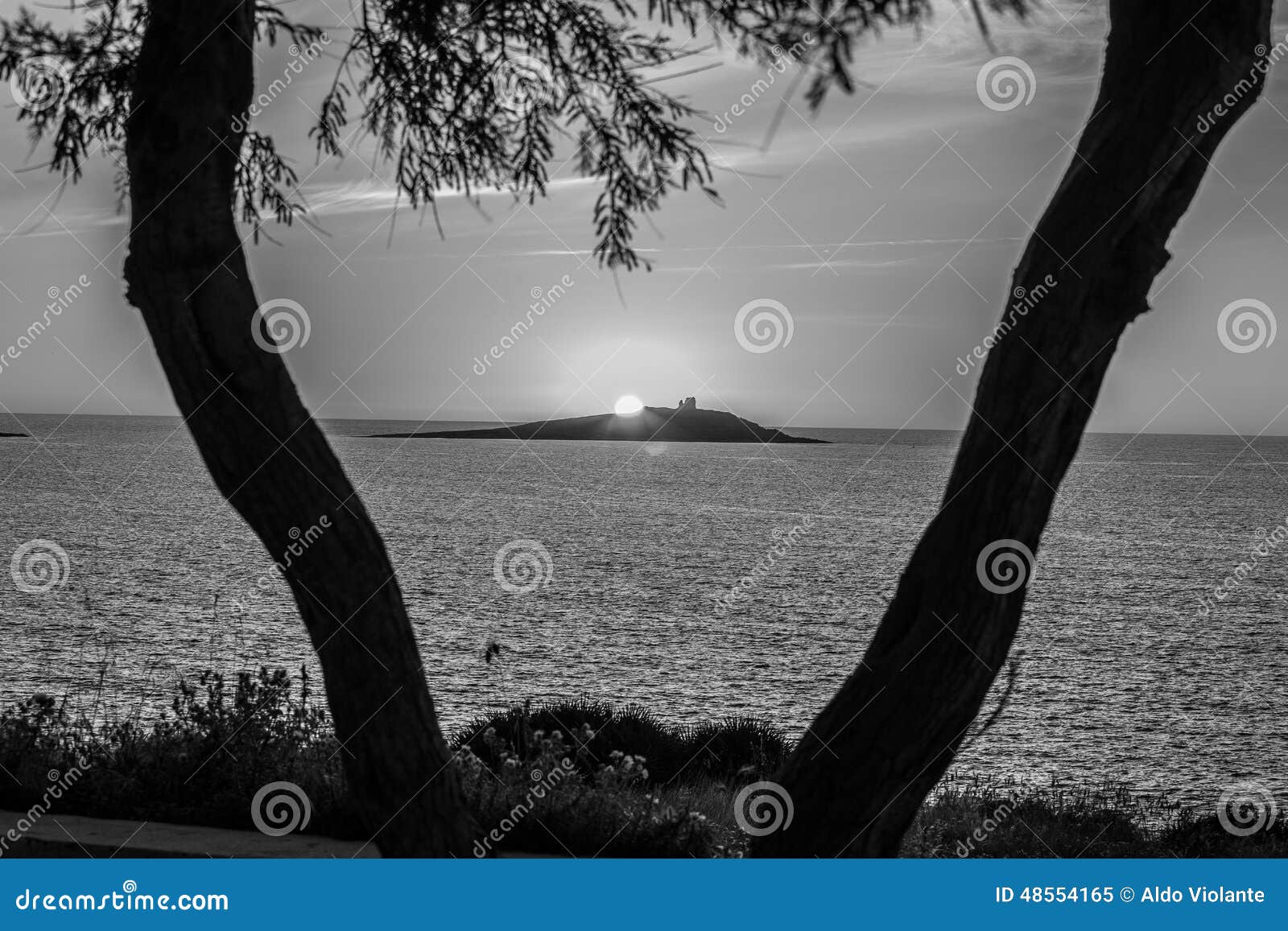 splendida vista di due alberi con uno sfondo dell isola ed un tramonto
