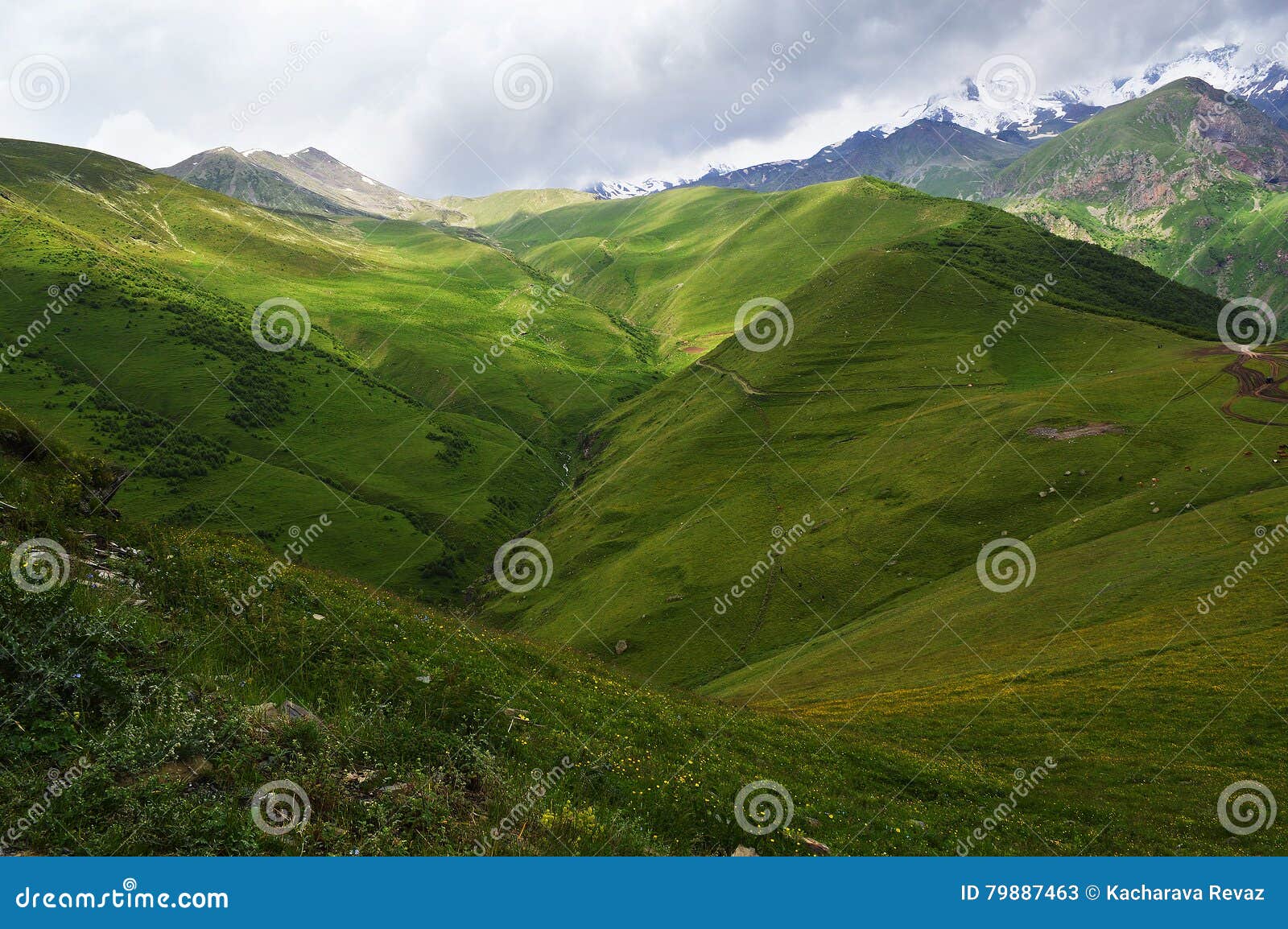 the splendor of the caucasus mountains