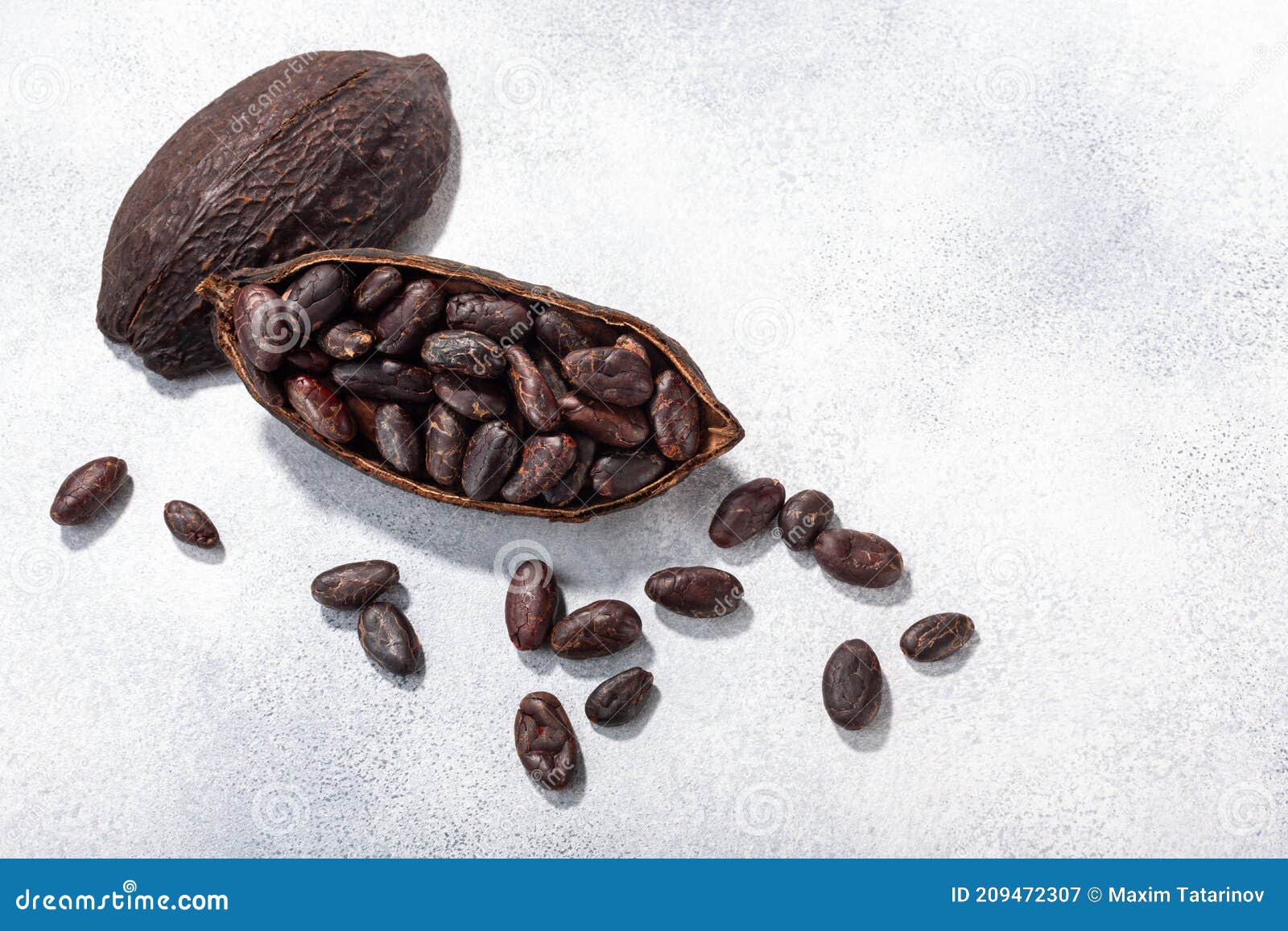 split fermented cocoa pod with shelled cacao beans atop light grey backdrop, top view, c opy space