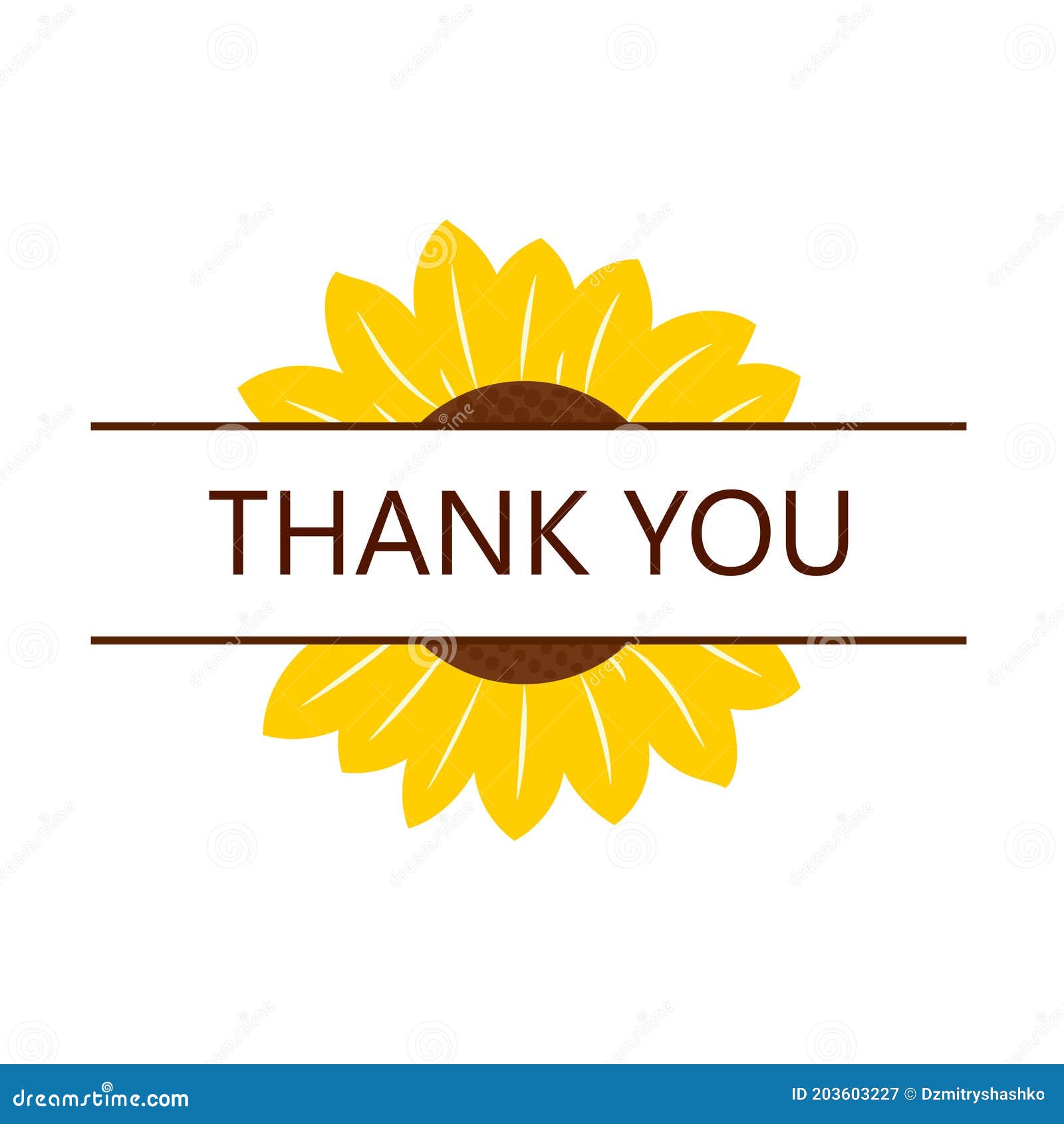 Split Sunflower With Thank You Stock Vector Illustration Of Summer