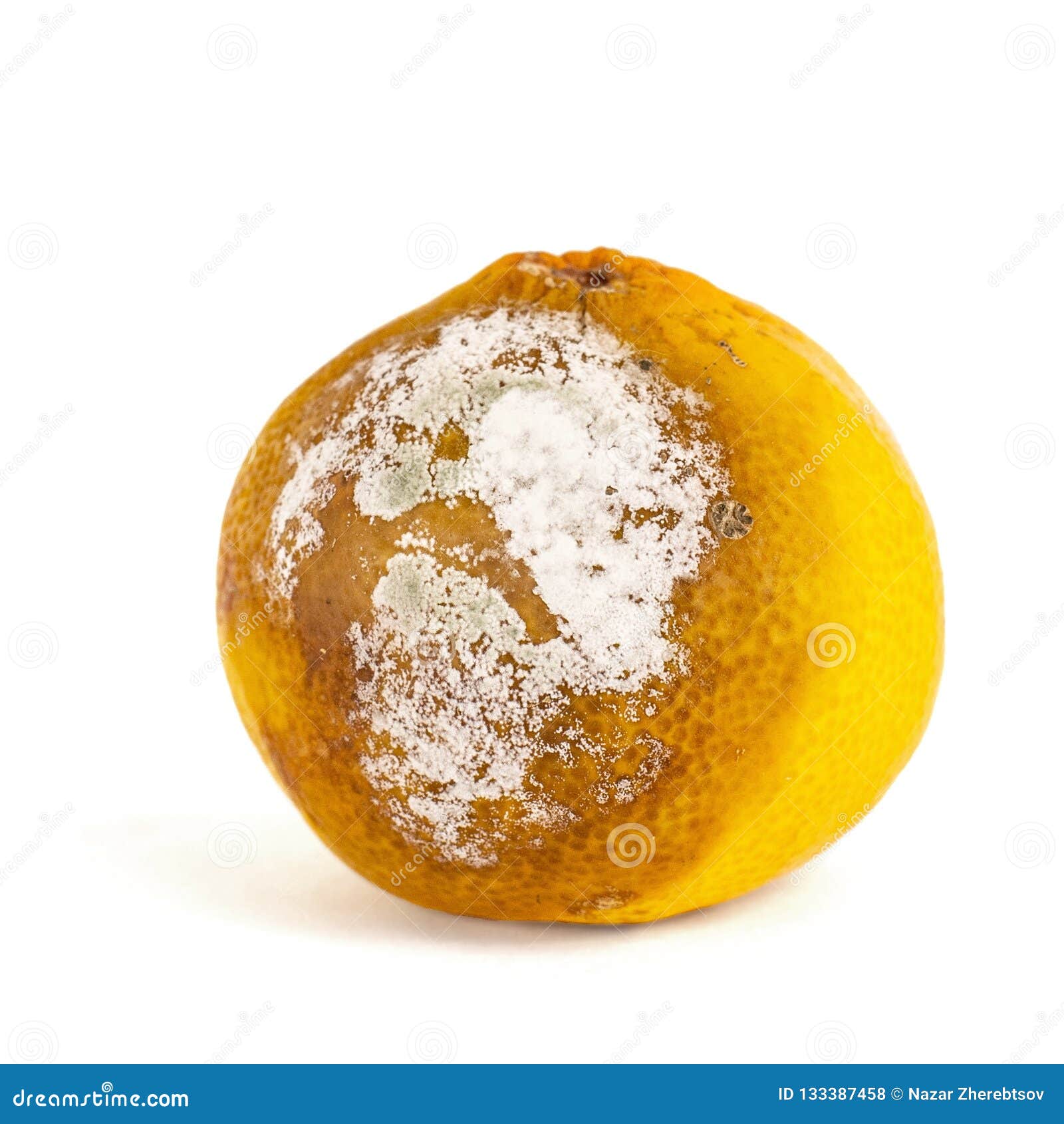 Spoiled Mandarin With A Mold On A White Background. Citrus Fruit Is