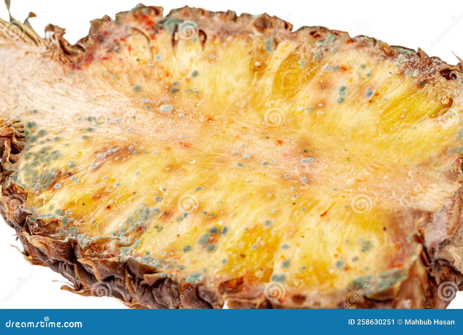 Spoiled Pineapple with Mold on the Surface of the Fruit Stock Image Image of mold, foodstuff