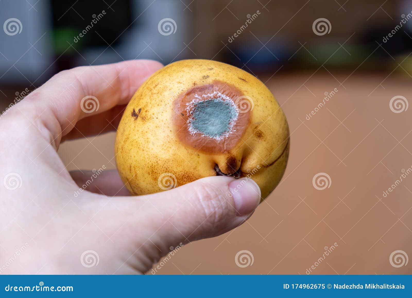 Rotten fruit – License Images – 550221 ❘ StockFood