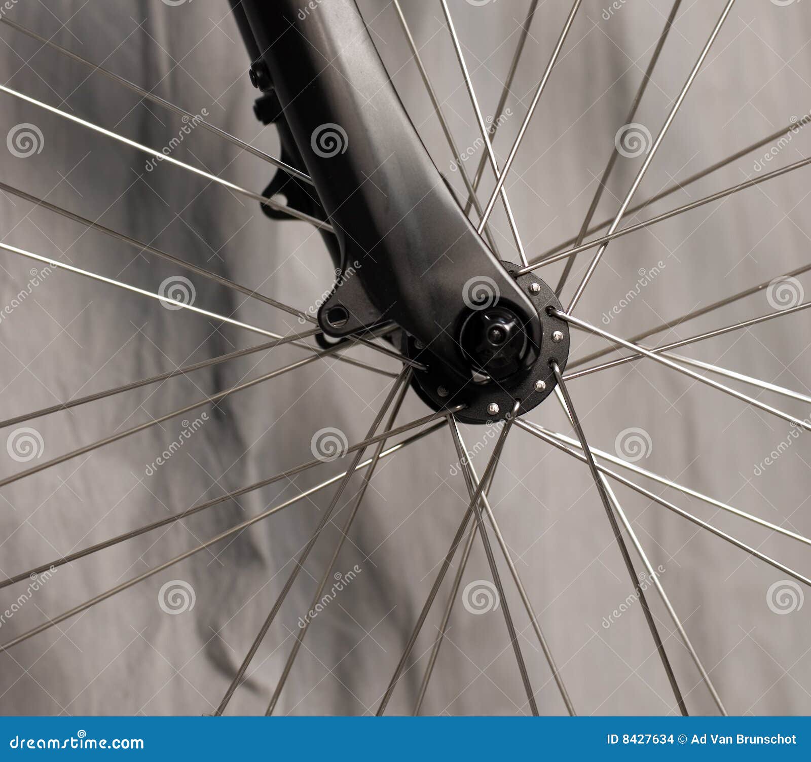 Spokes stock photo. Image of bike, bicycle, spoke, view 8427634