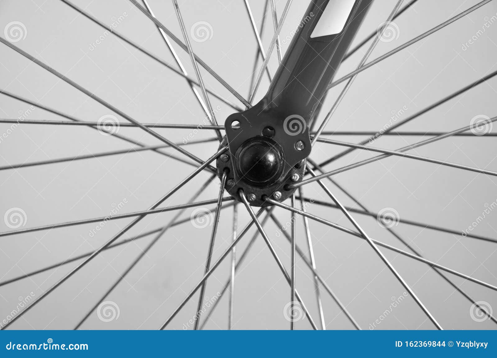 Spokes of Bicycle in Monochrome with White Background Stock Photo Image of white, sport 162369844