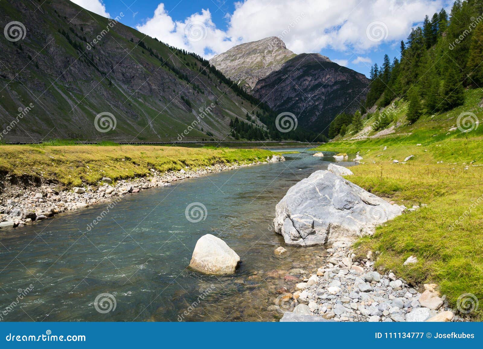 spol river flowing in lake livigno, corno brusadella mountain background