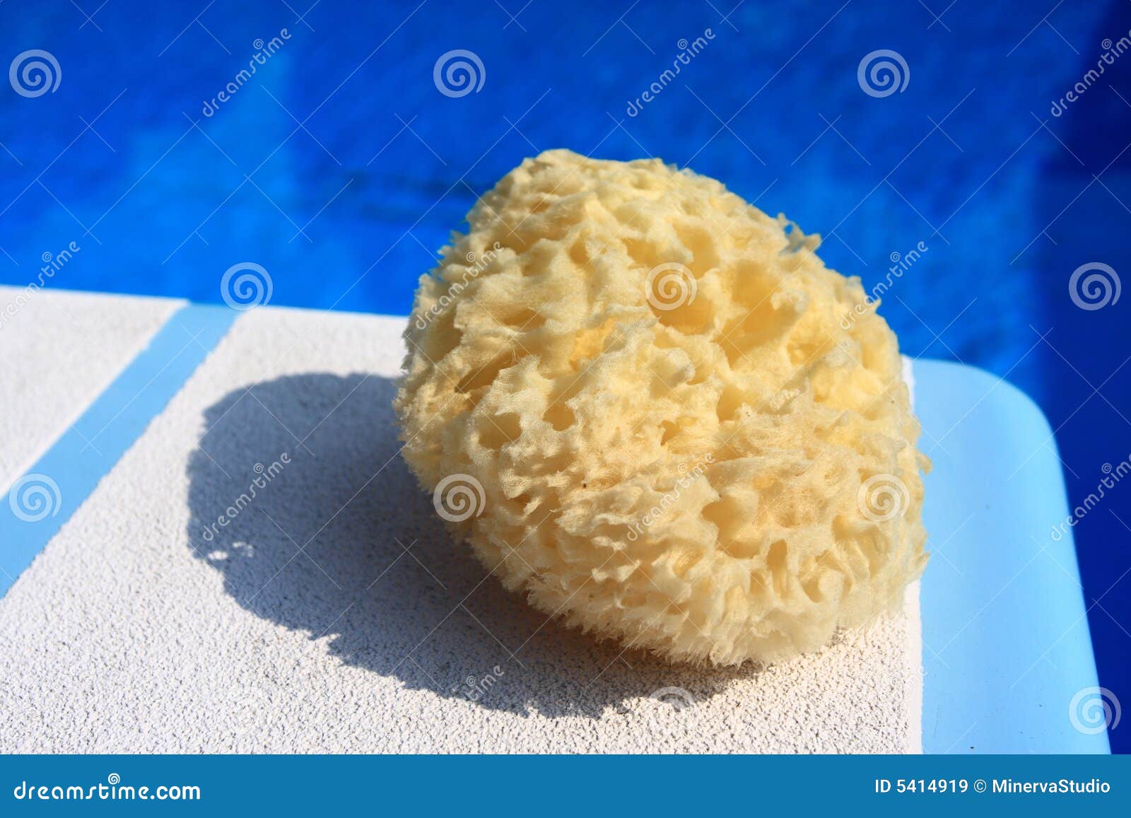 Sponge on a diving board stock image. Image of sport, stress 5414919