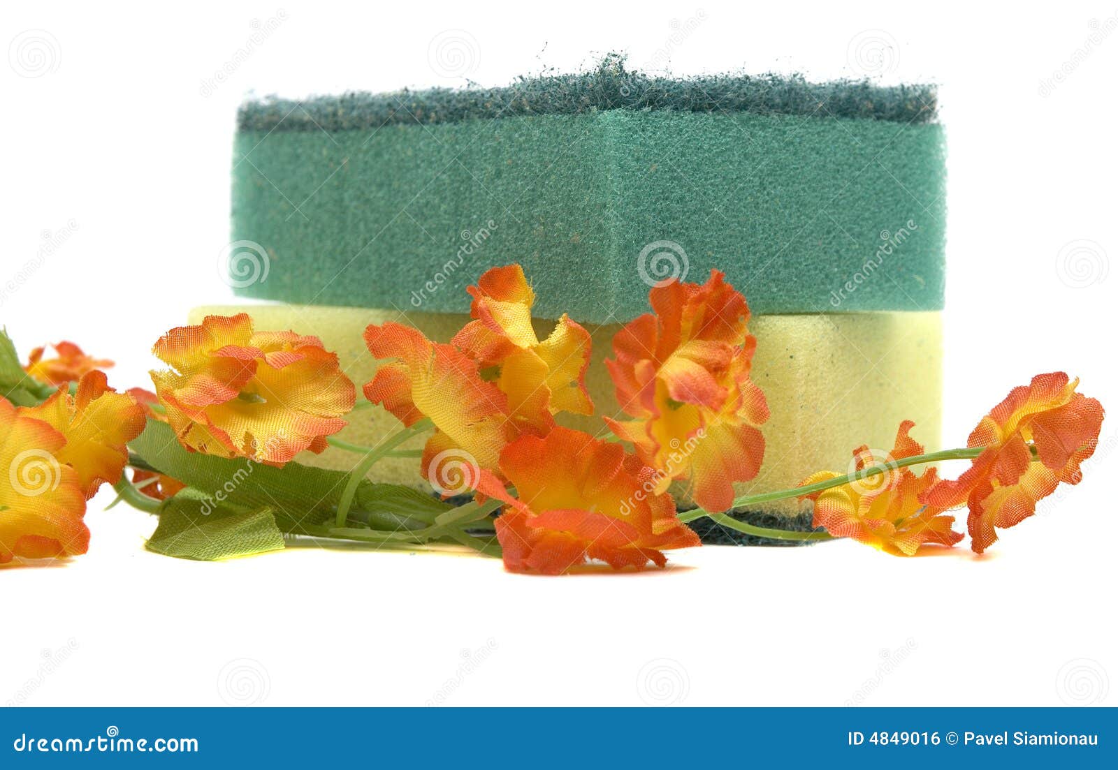 Sponge and flower stock photo. Image of interior, spongy 4849016