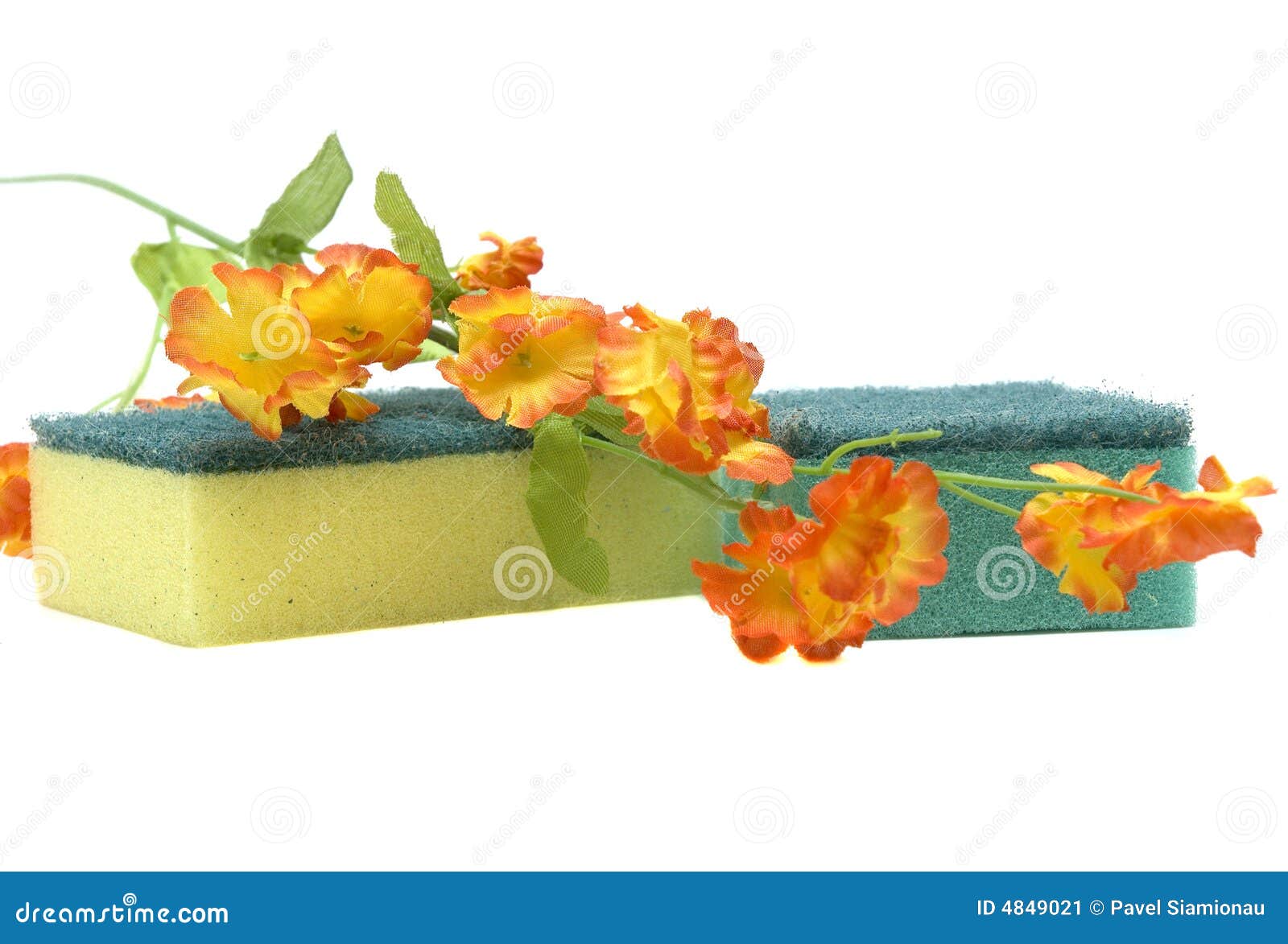Sponge and flower stock image. Image of sponge, green 4849021