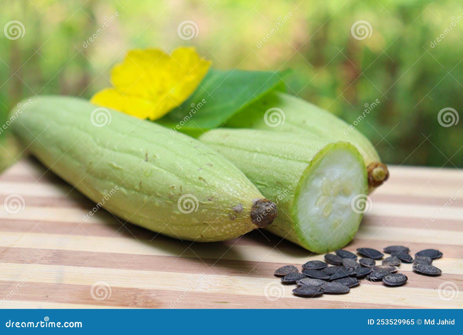 Sponge Gourd with Flower and Leaf Stock Image Image of natural