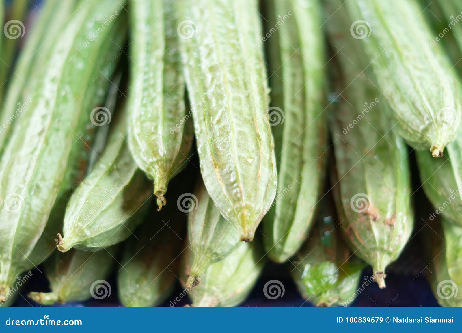 Sponge gourd stock image. Image of ingredient, beautiful 100839679
