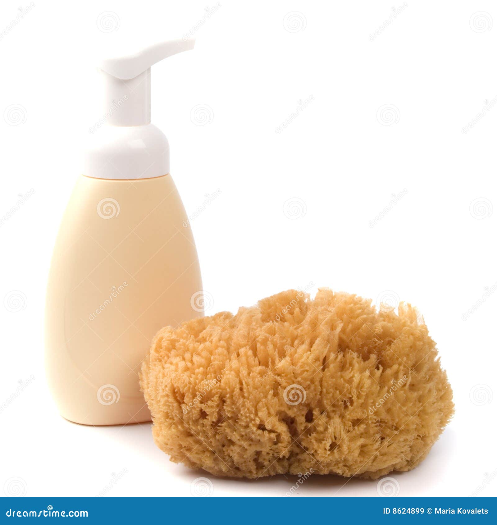 Sponge and shower gel stock image. Image of accessory 8624899