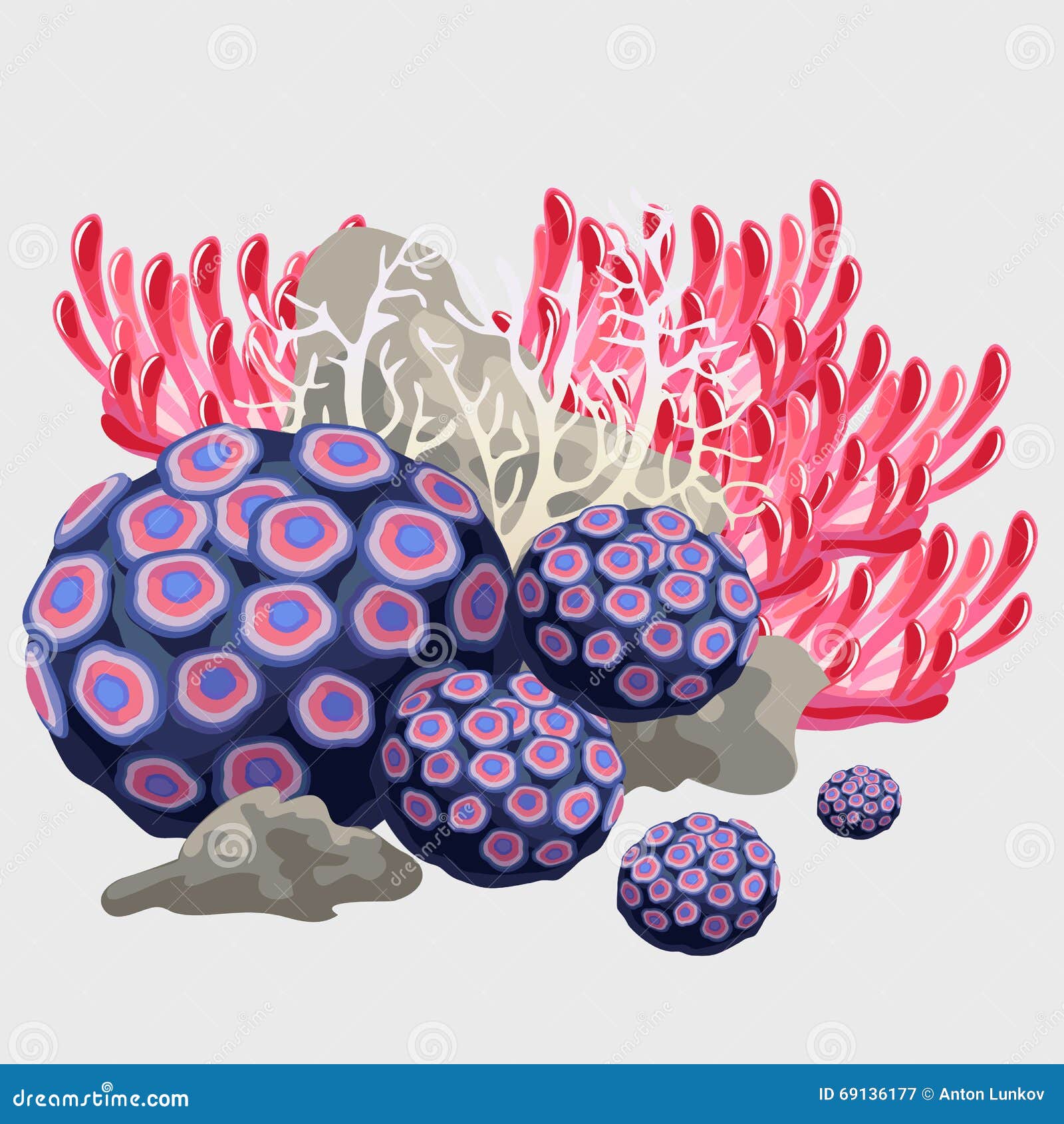Tube Coral Stock Illustrations 568 Tube Coral Stock Illustrations