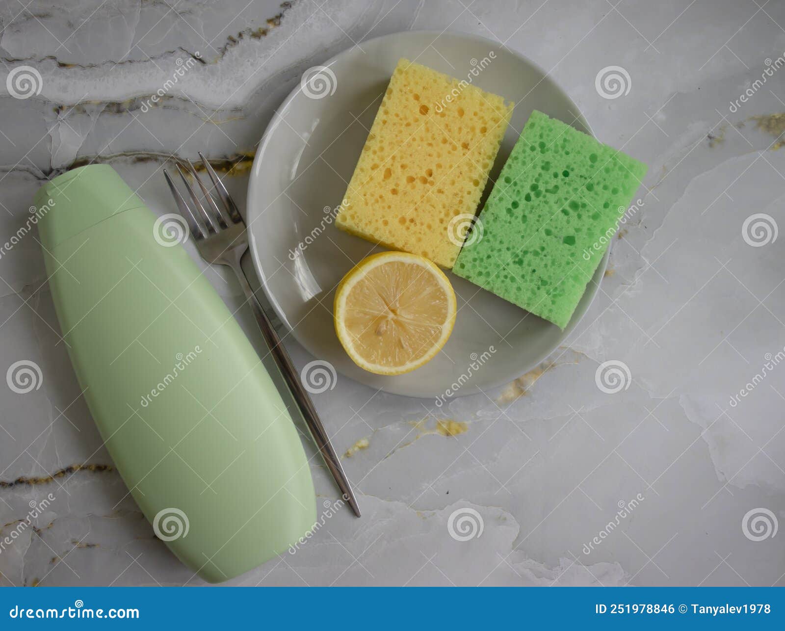 Sponge for Washing Dishes, Lemon, Sanitary Plate Stock Photo Image of colorful, house 251978846
