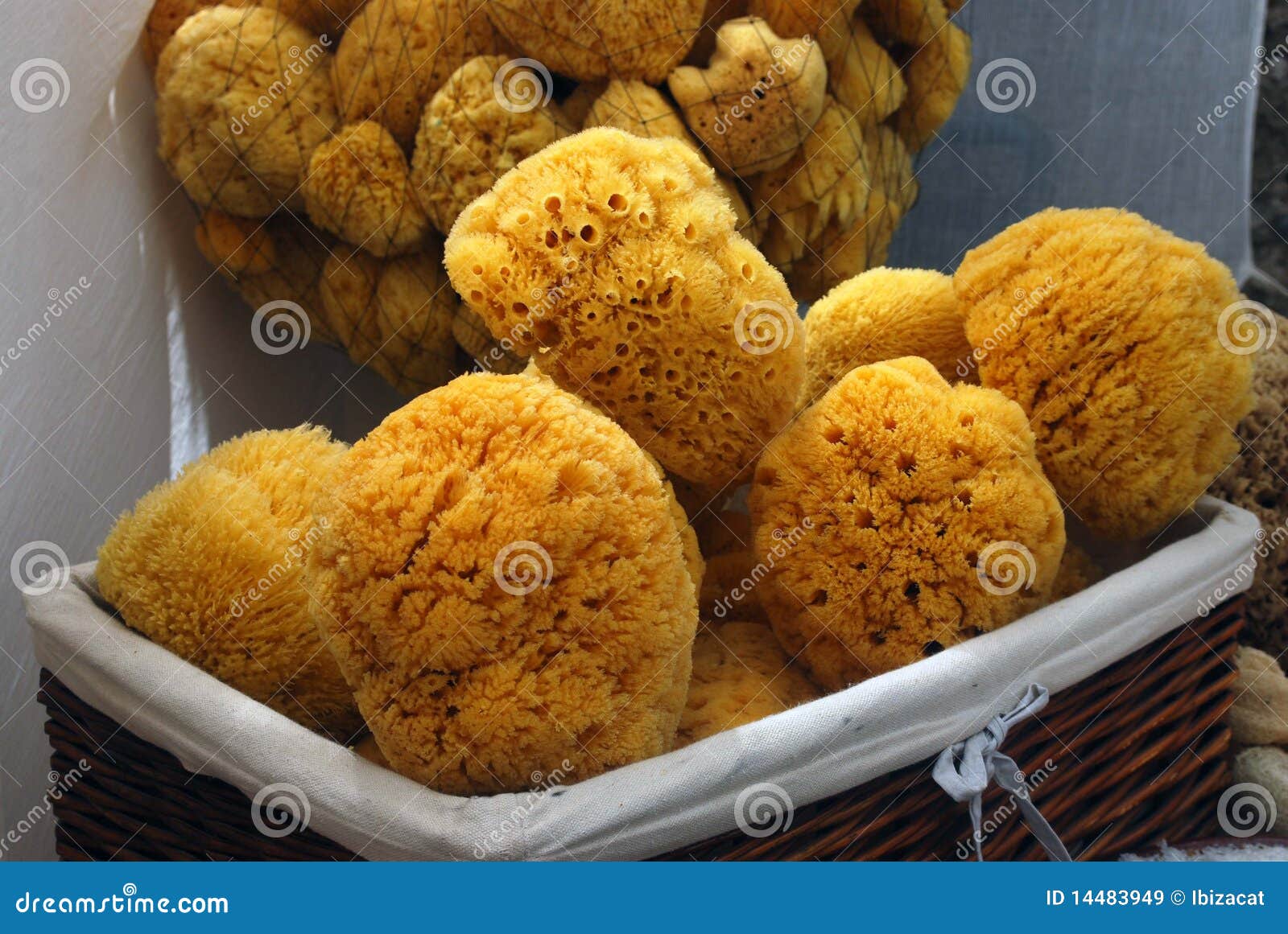 Sponges stock image. Image of healthy, sponges, products 14483949