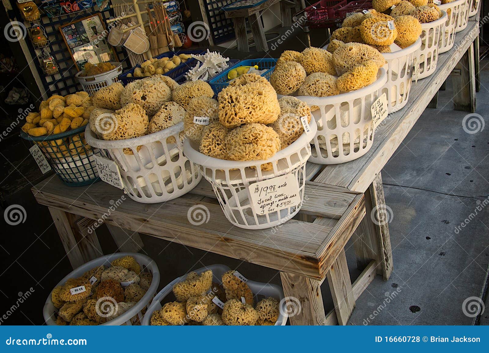 Sponges for sale stock photo. Image of florida, coast 16660728