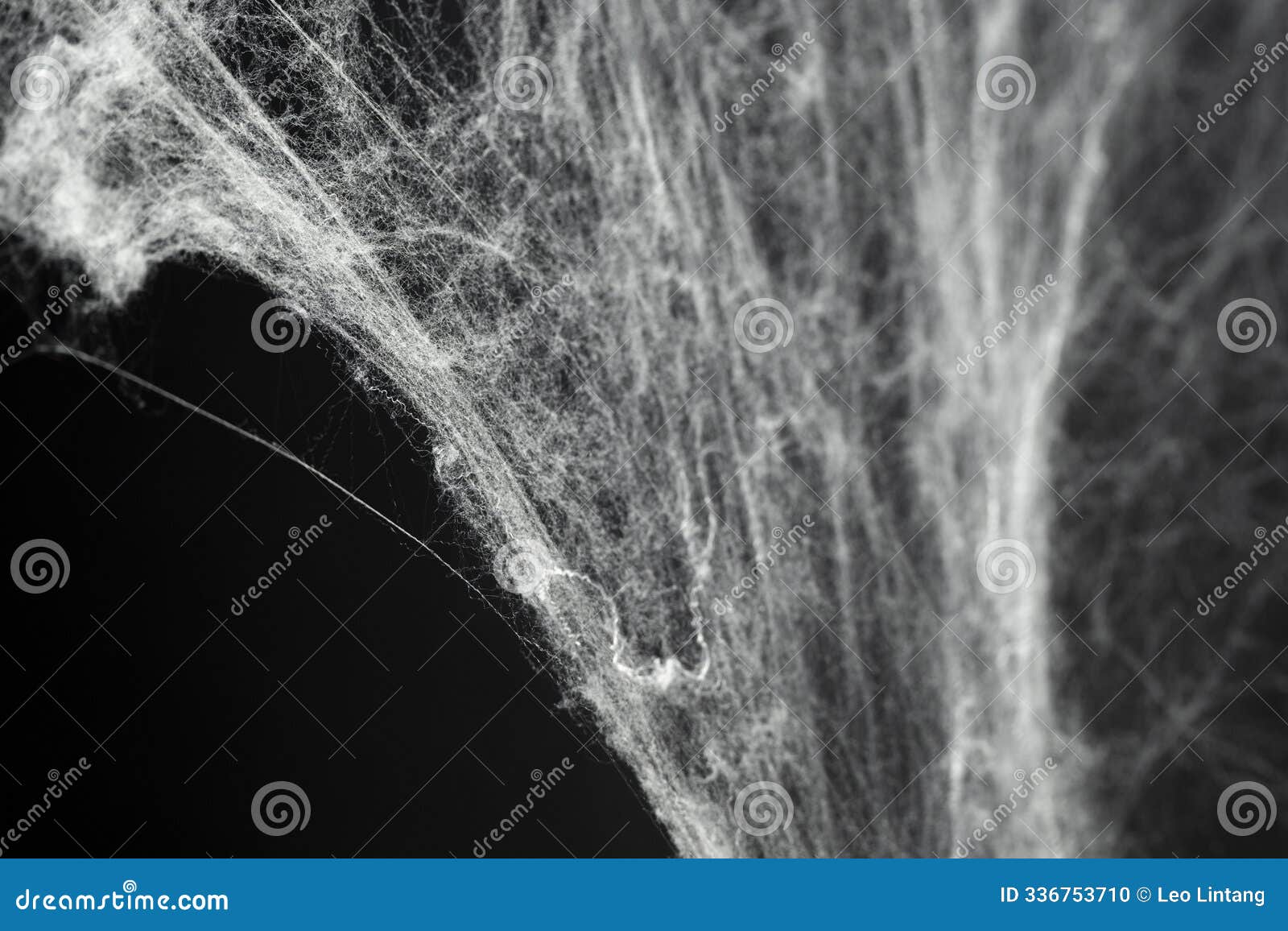 spooky creepy cobweb spiders web covered a black background