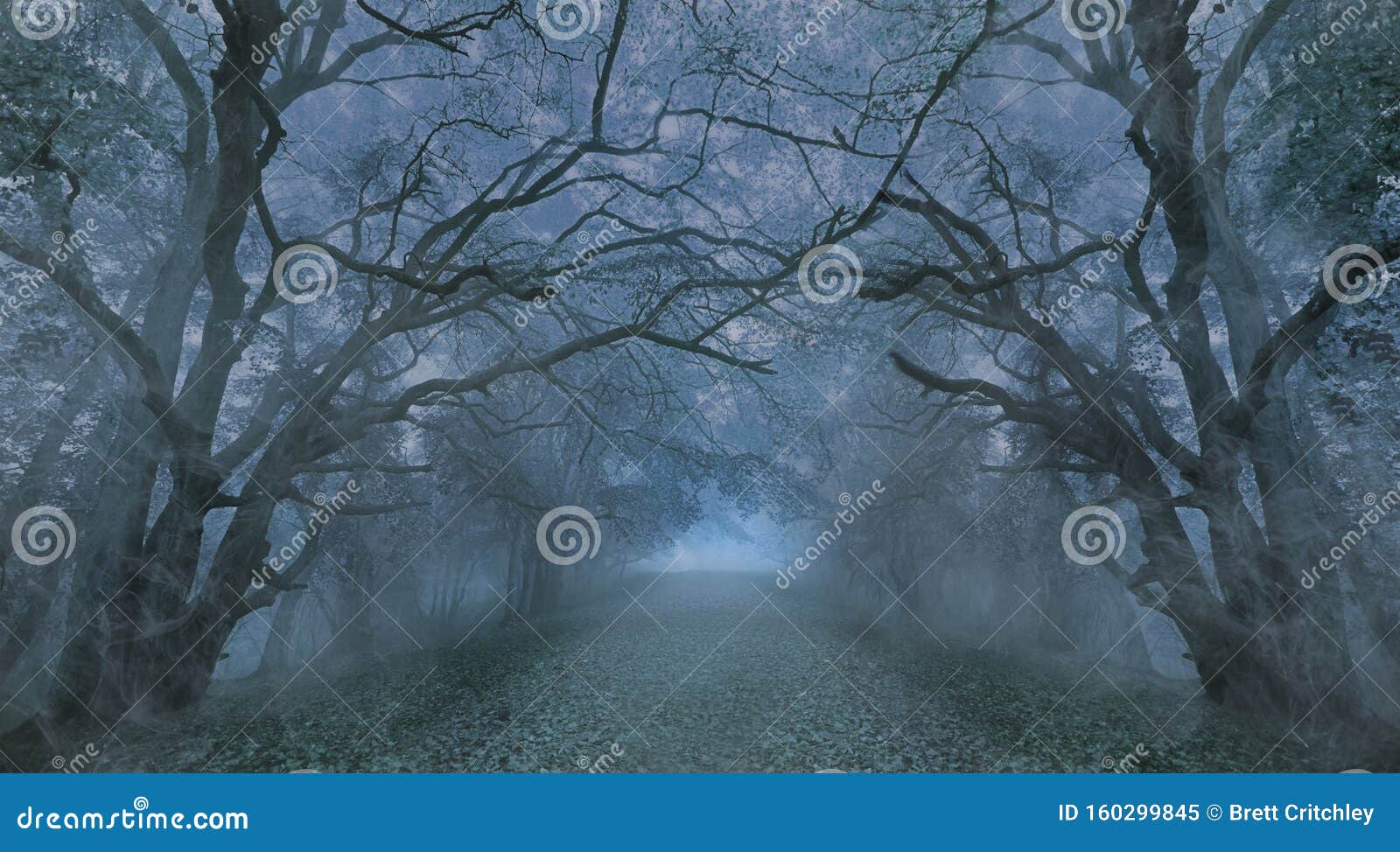 spooky halloween misty foggy forest night