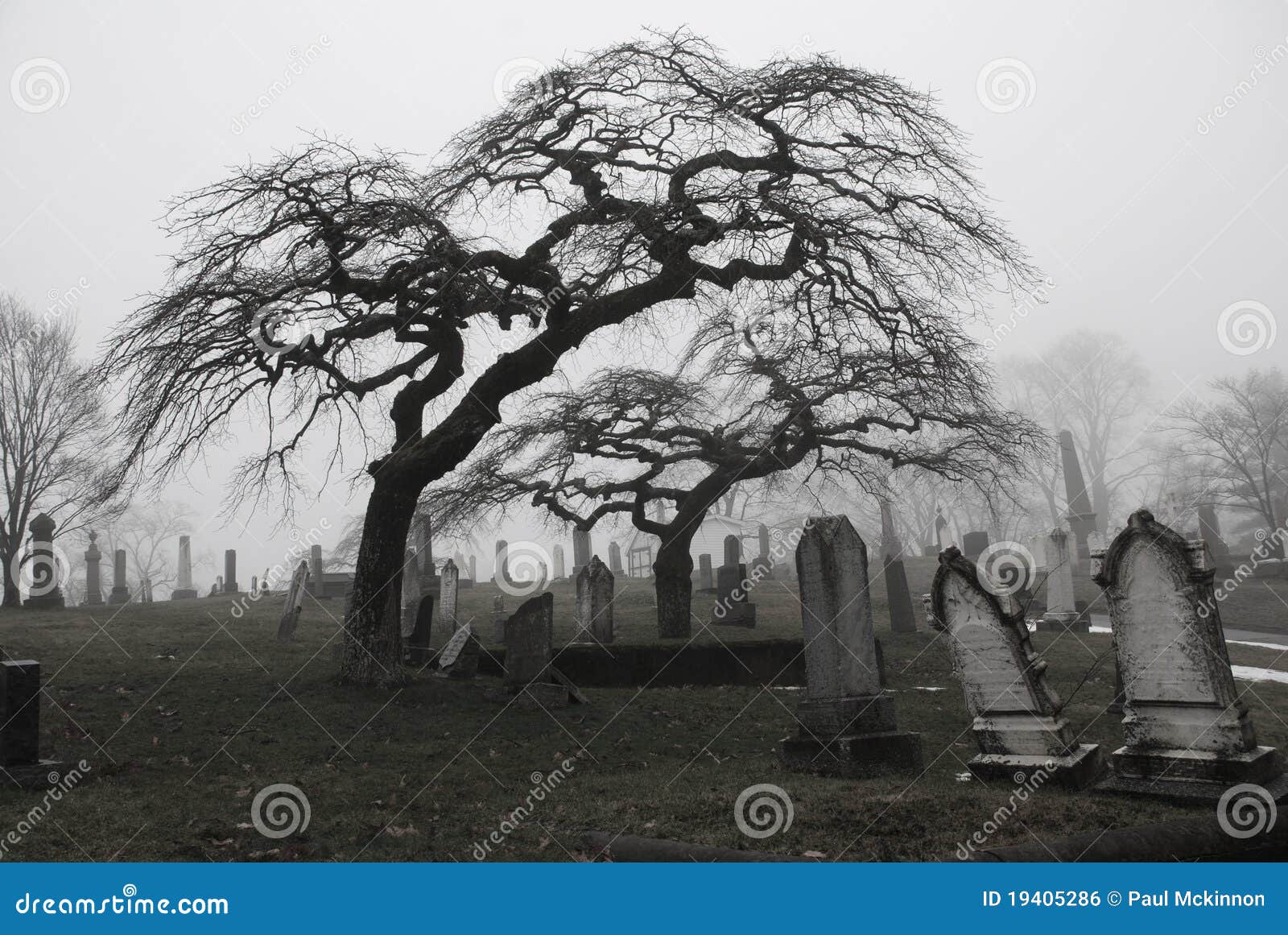 spooky graveyard scene with scary trees a