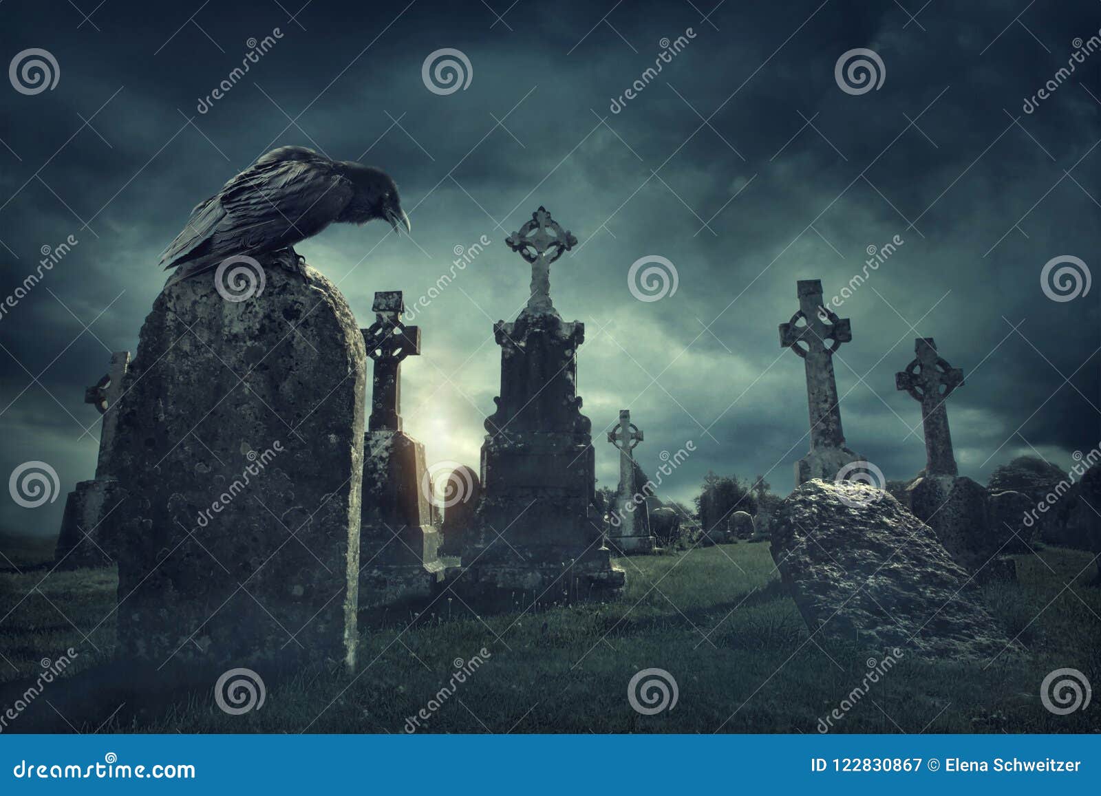 spooky old graveyard and a bird