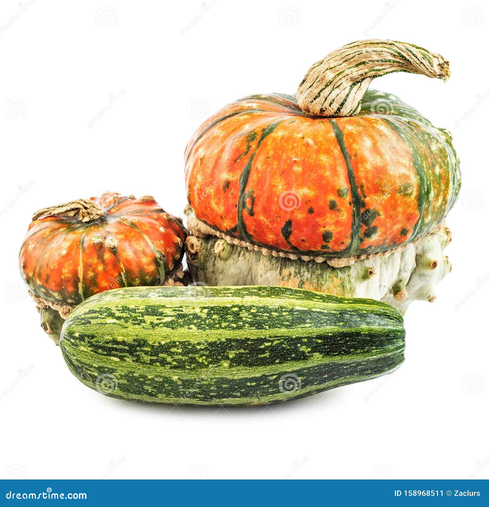 spooky scary pumpkins and squash 
