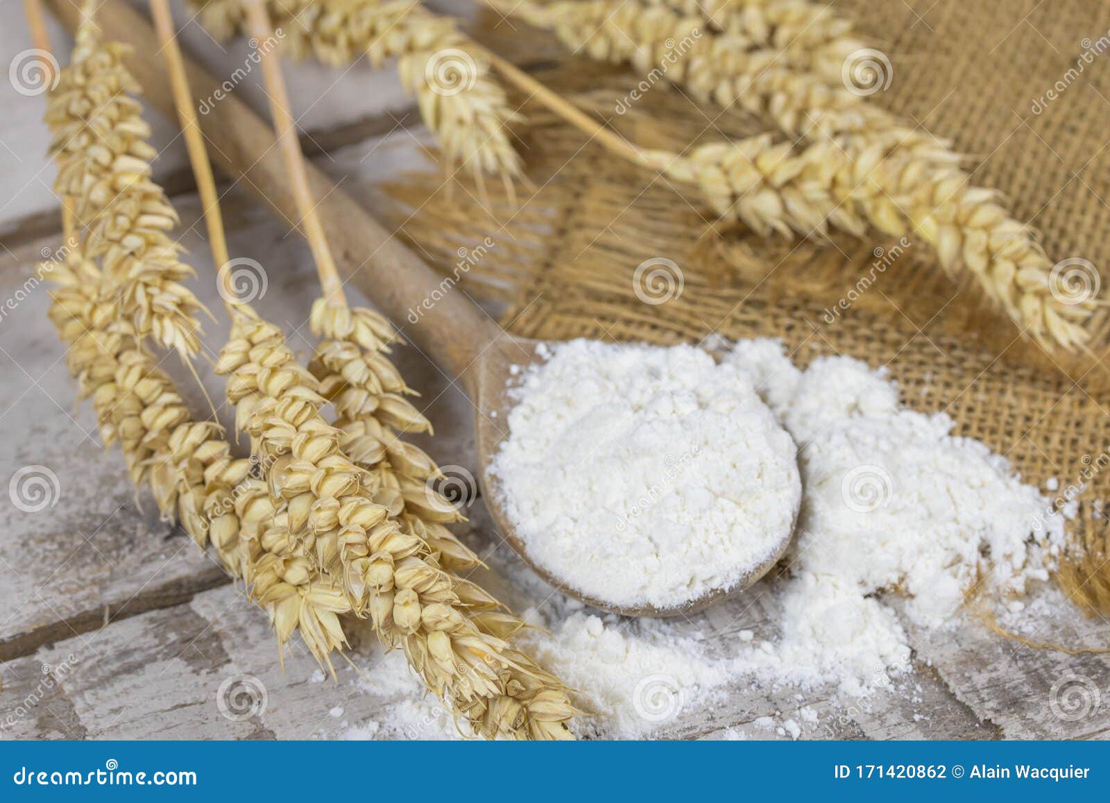 Spoon of flour stock photo. Image of pastry, wheat, wooden 171420862