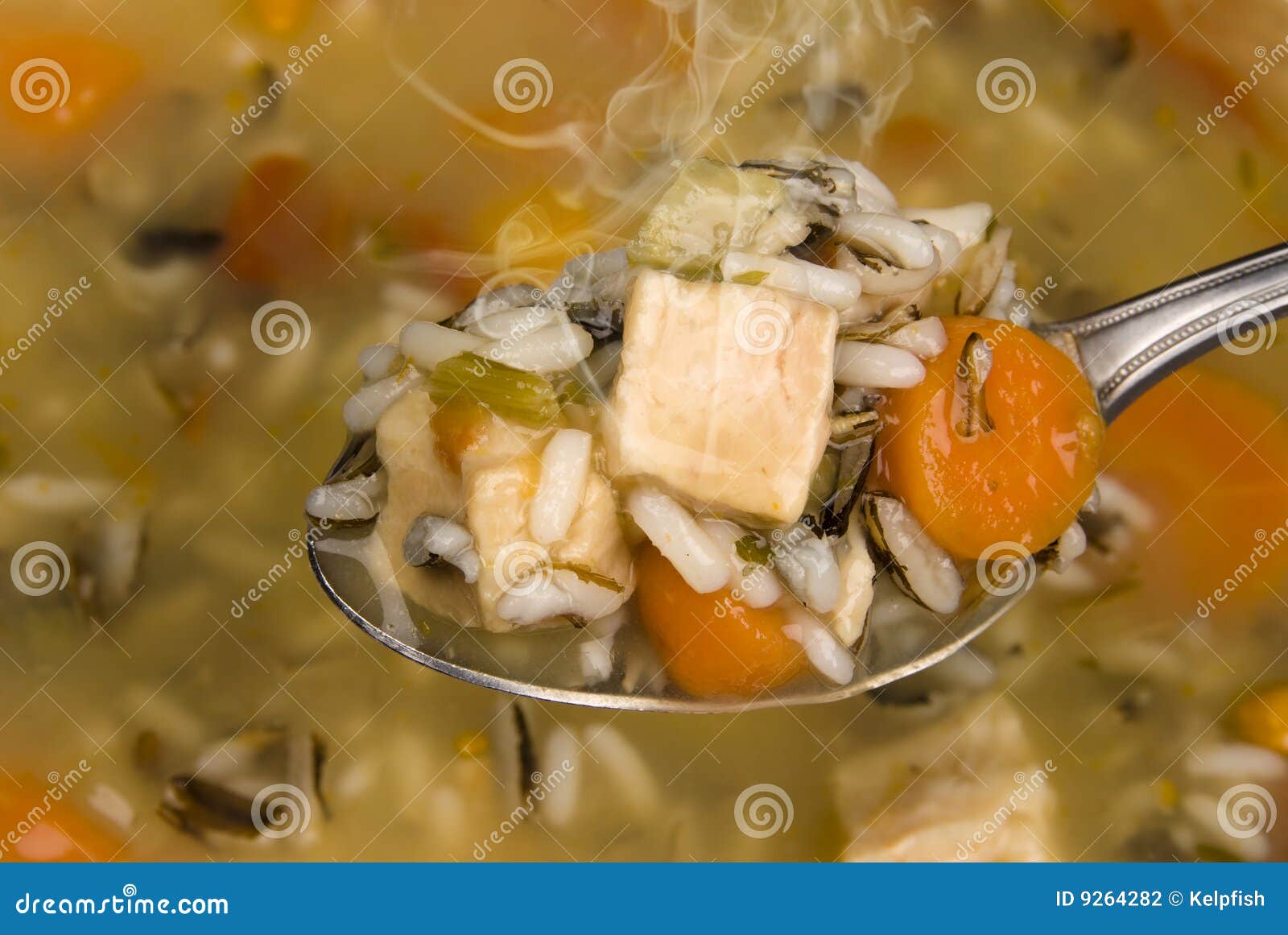 Spoon Full of Chicken and Rice Soup Stock Photo Image of isolated