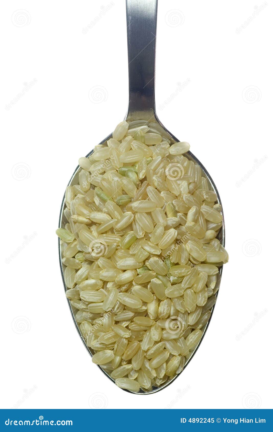 Spoonful of Short Grain Rice Stock Image Image of food, seed 4892245
