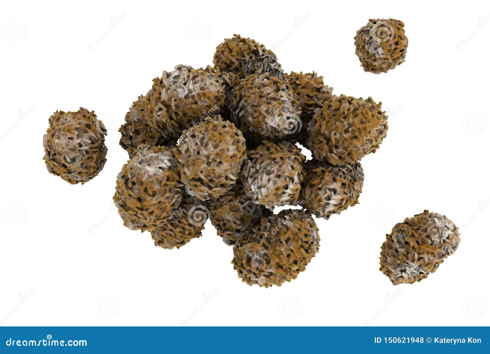 spores of stachybotrys chartarum mould