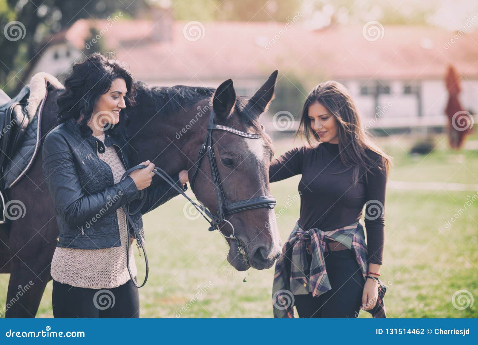 Spornt Die Hubsche Frau Zwei Die Pferdefirma Geniesst Hobby Und Liebe Von Pferden An Stockfoto Bild Von Hobby Pferdefirma