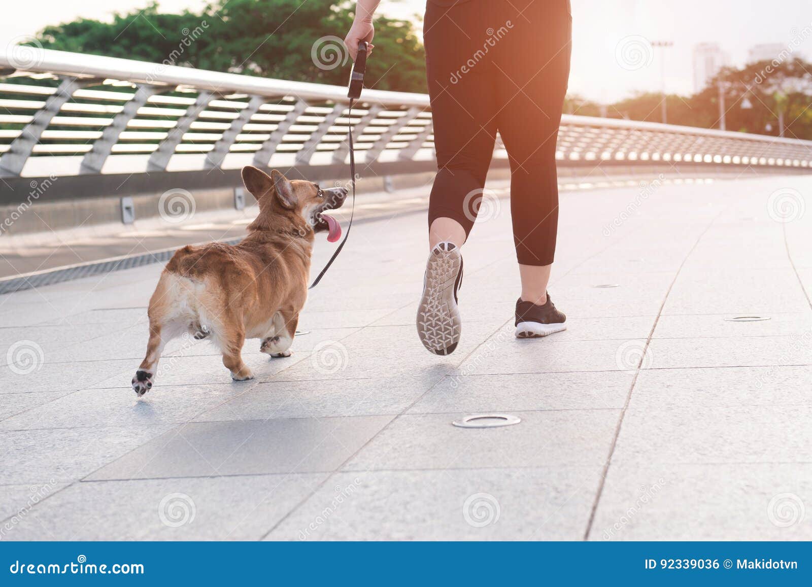 running with corgi