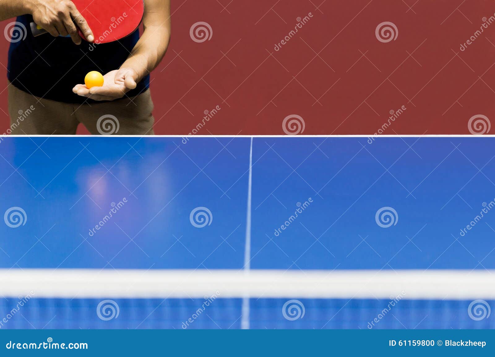 Sport Player Serving Table Tennis Game Stock Photo Image of compete, ball 61159800